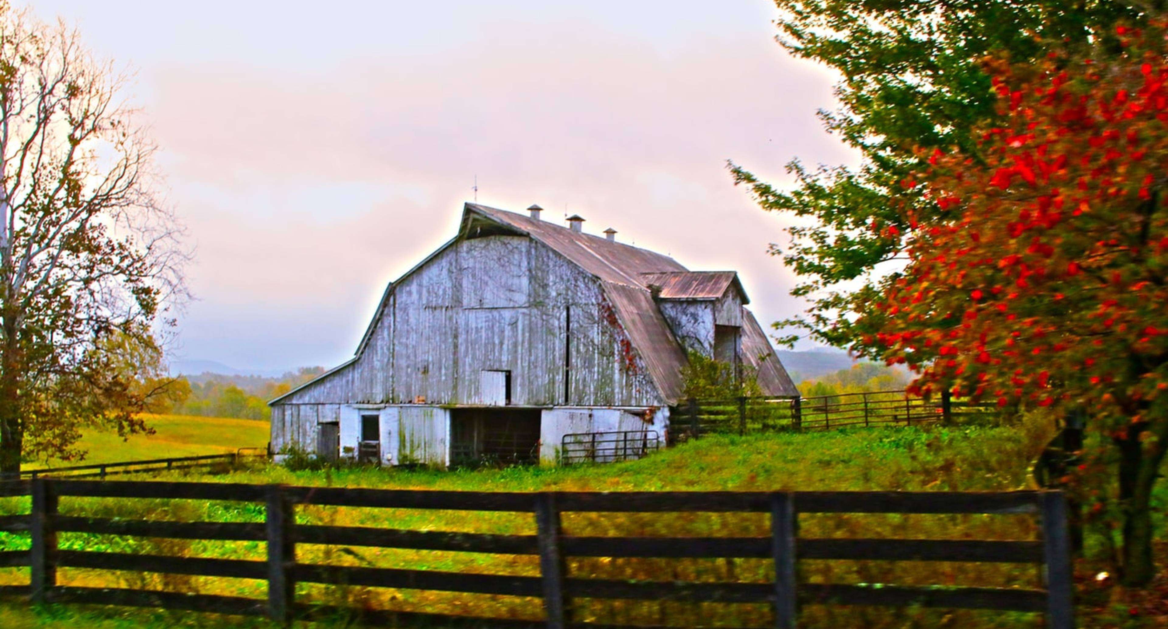 Incredible Distillery Stories