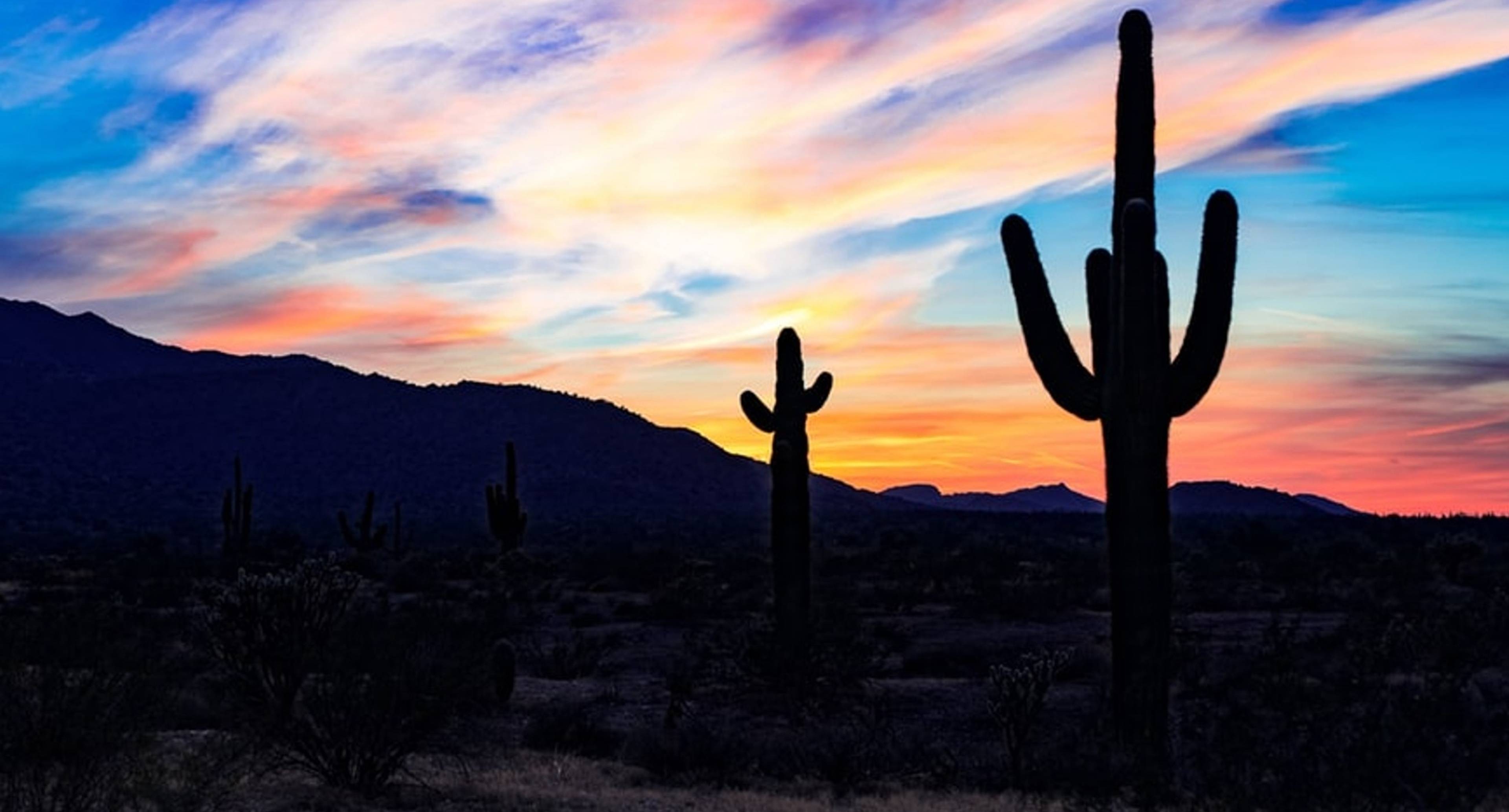 La nature étonnante du quartier de Phoenix