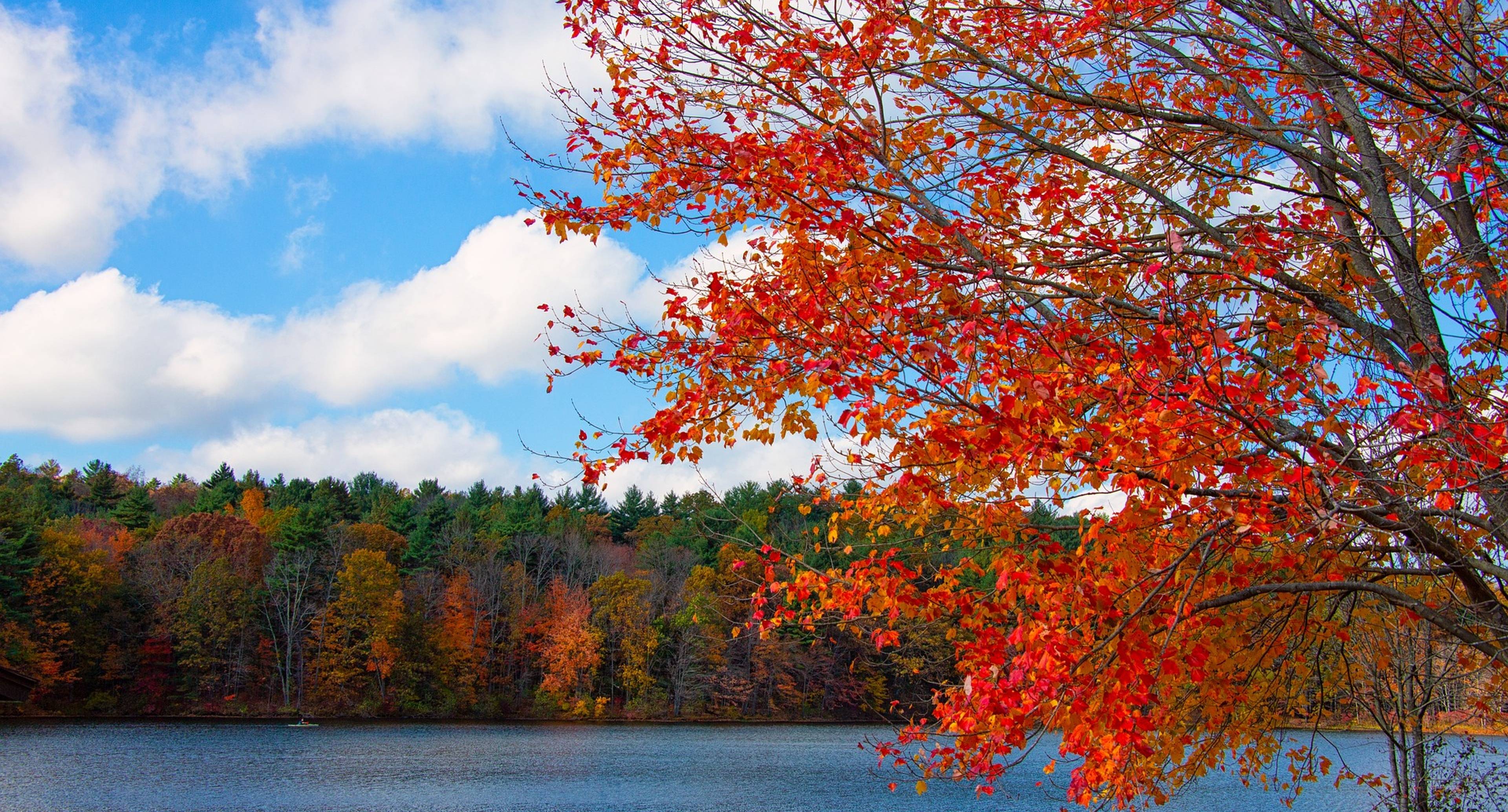 Staat Natur und Kultur