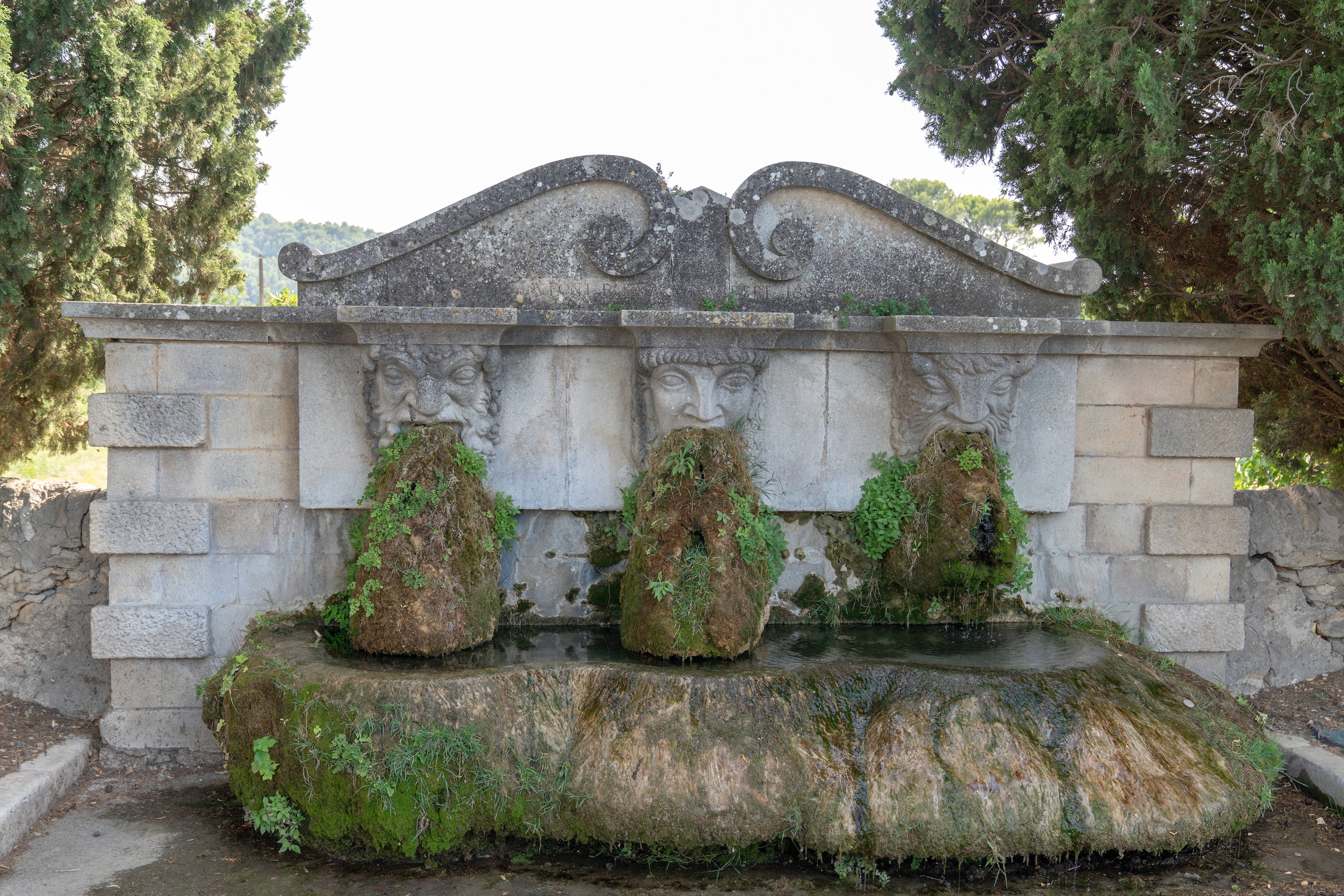 The Tree Masks Fountain