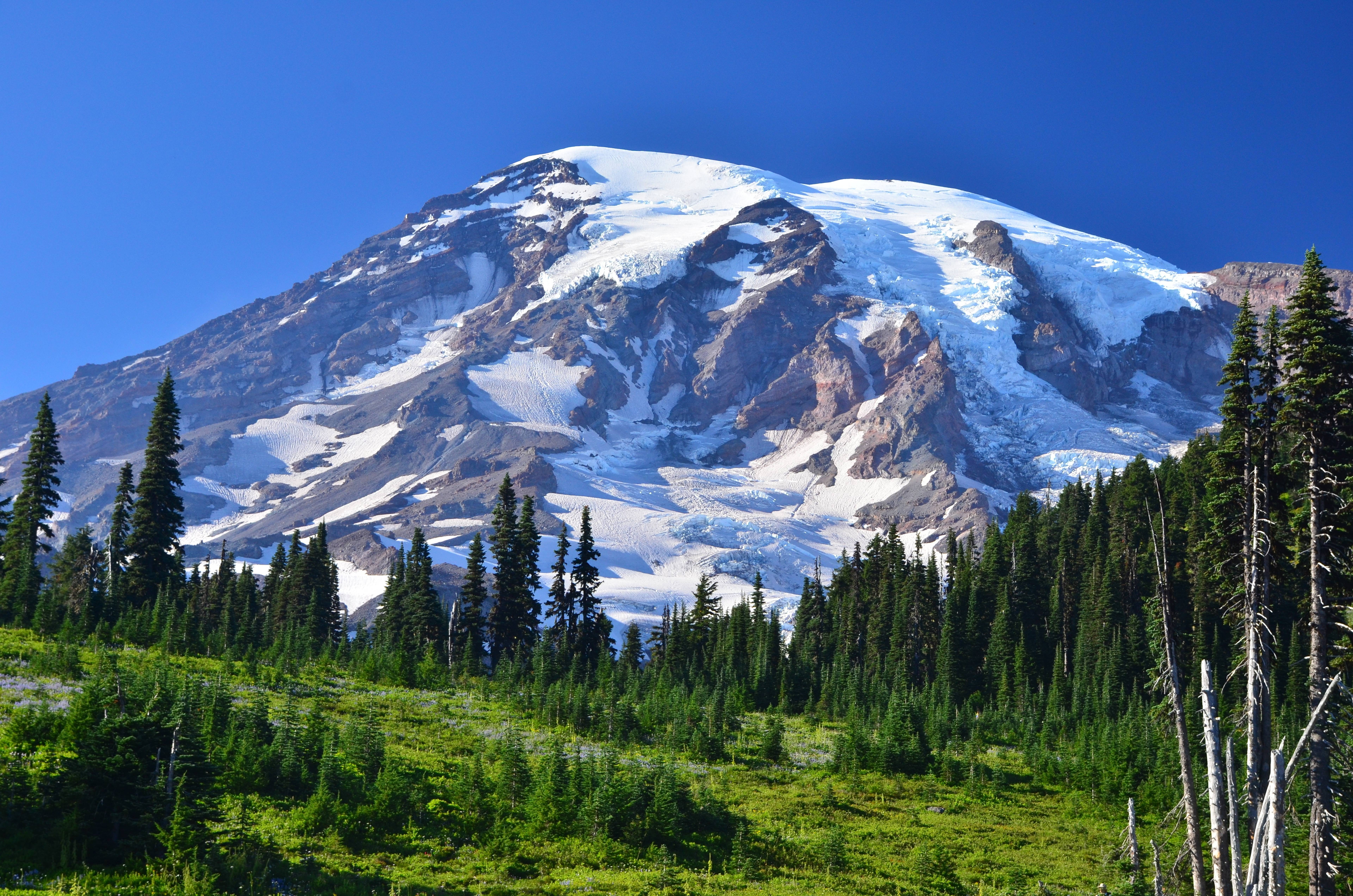 Nisqually Vista Trail