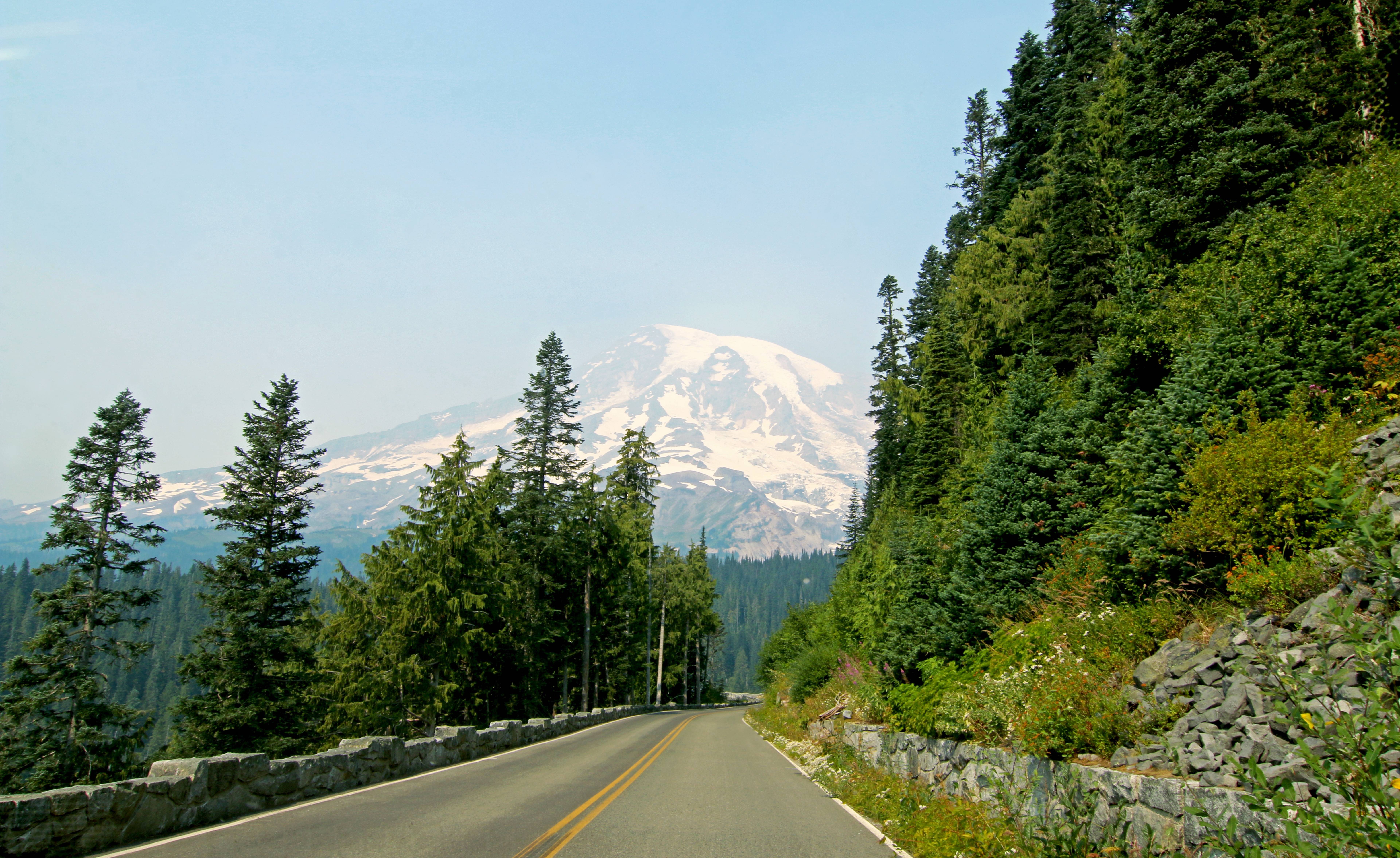 Observation Site: Mt. Rainier-Goat Rocks