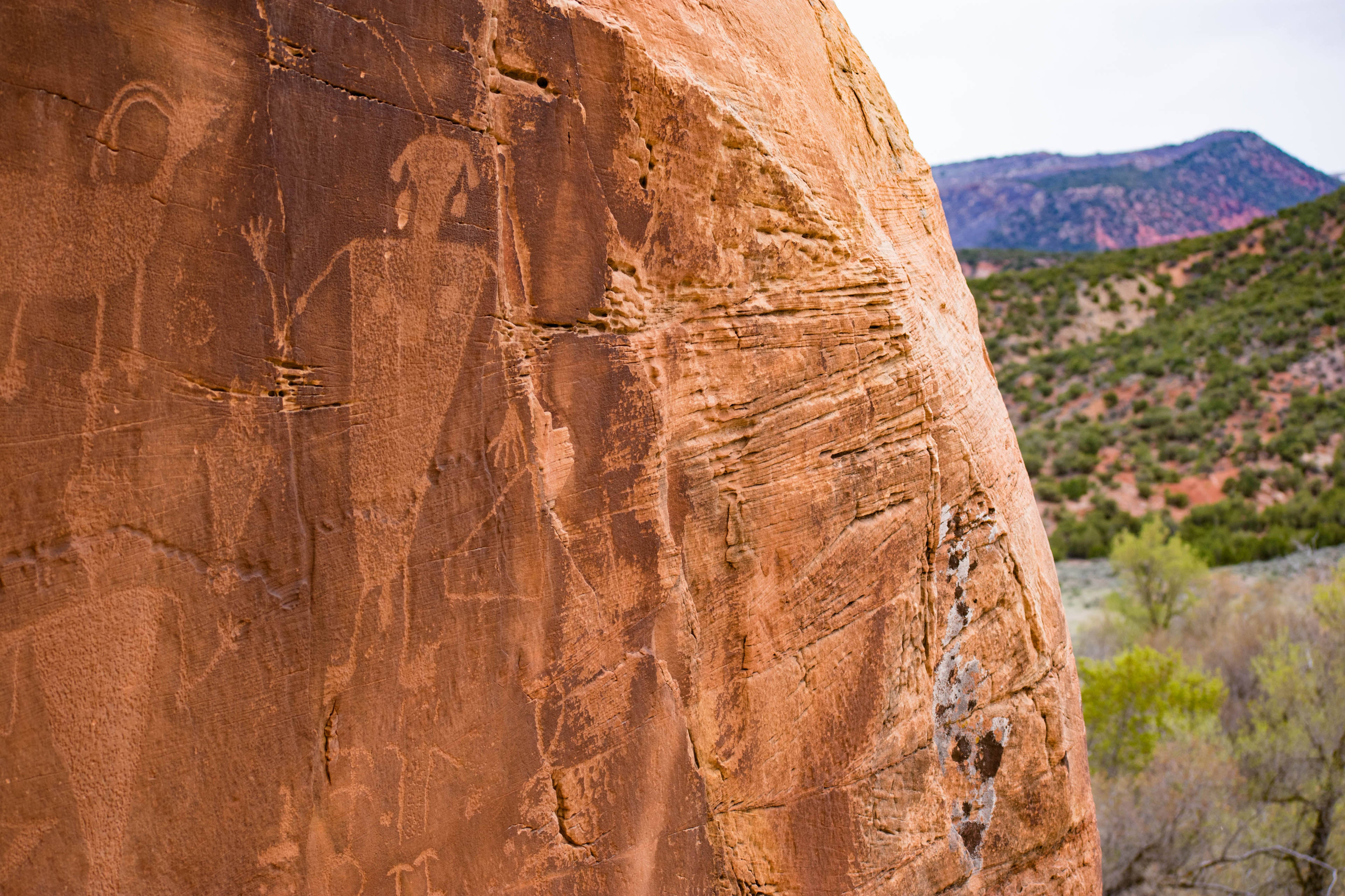 Swelter Shelter Petroglyphs