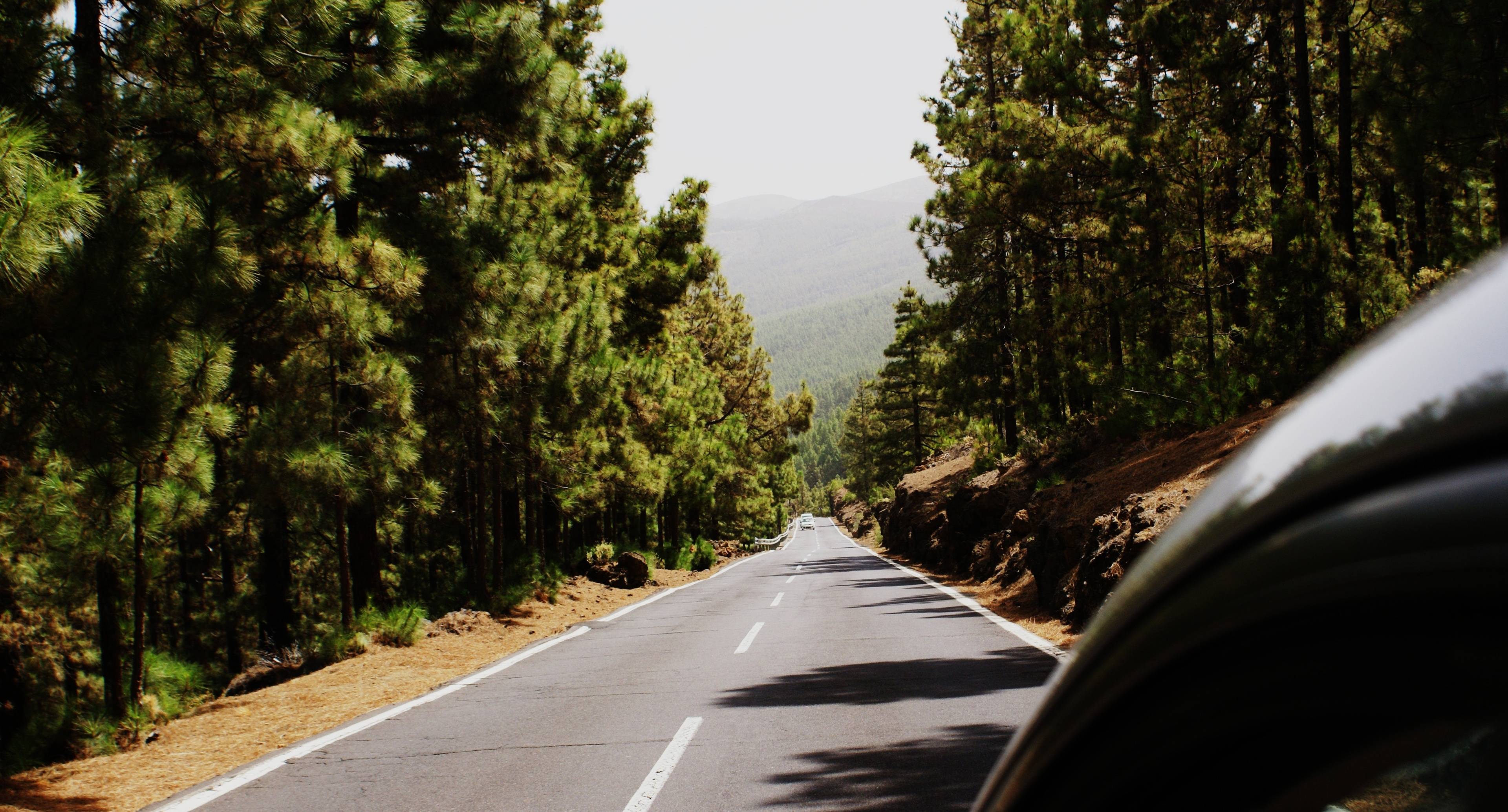 Road to the Island’s Unique Protected Area