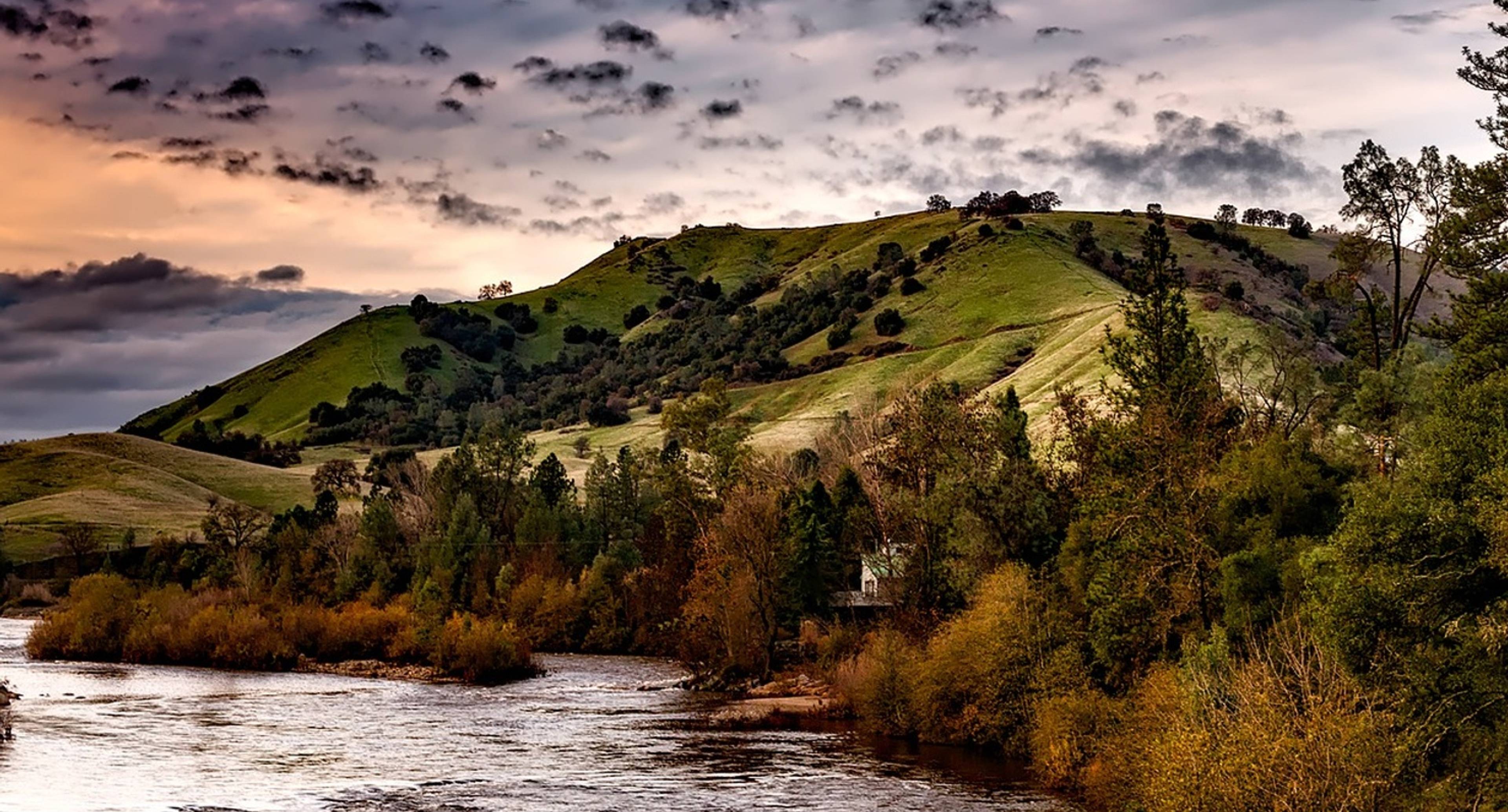 Natural Diversity of the San Francisco Peninsula