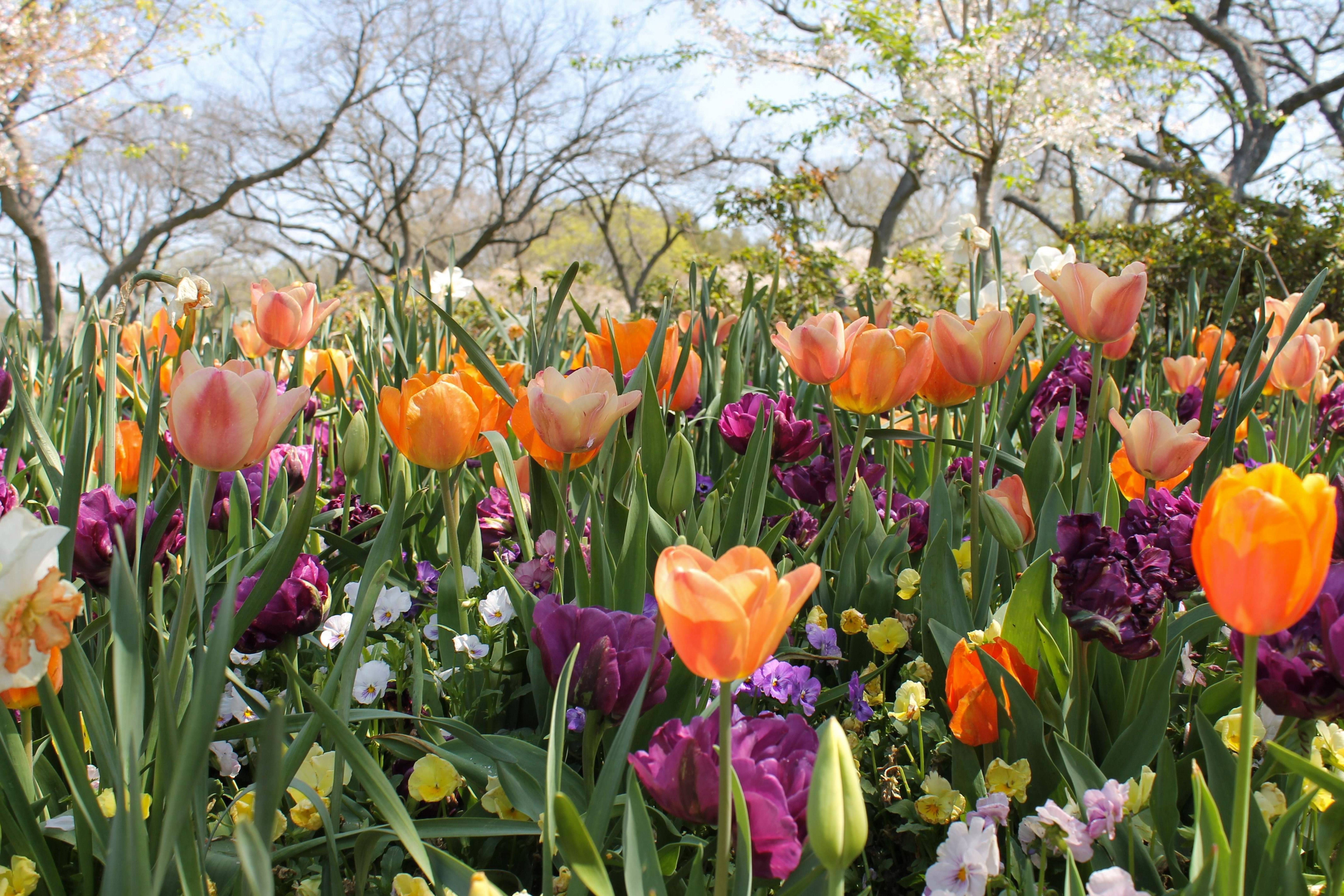 Coastal Maine Botanical Gardens