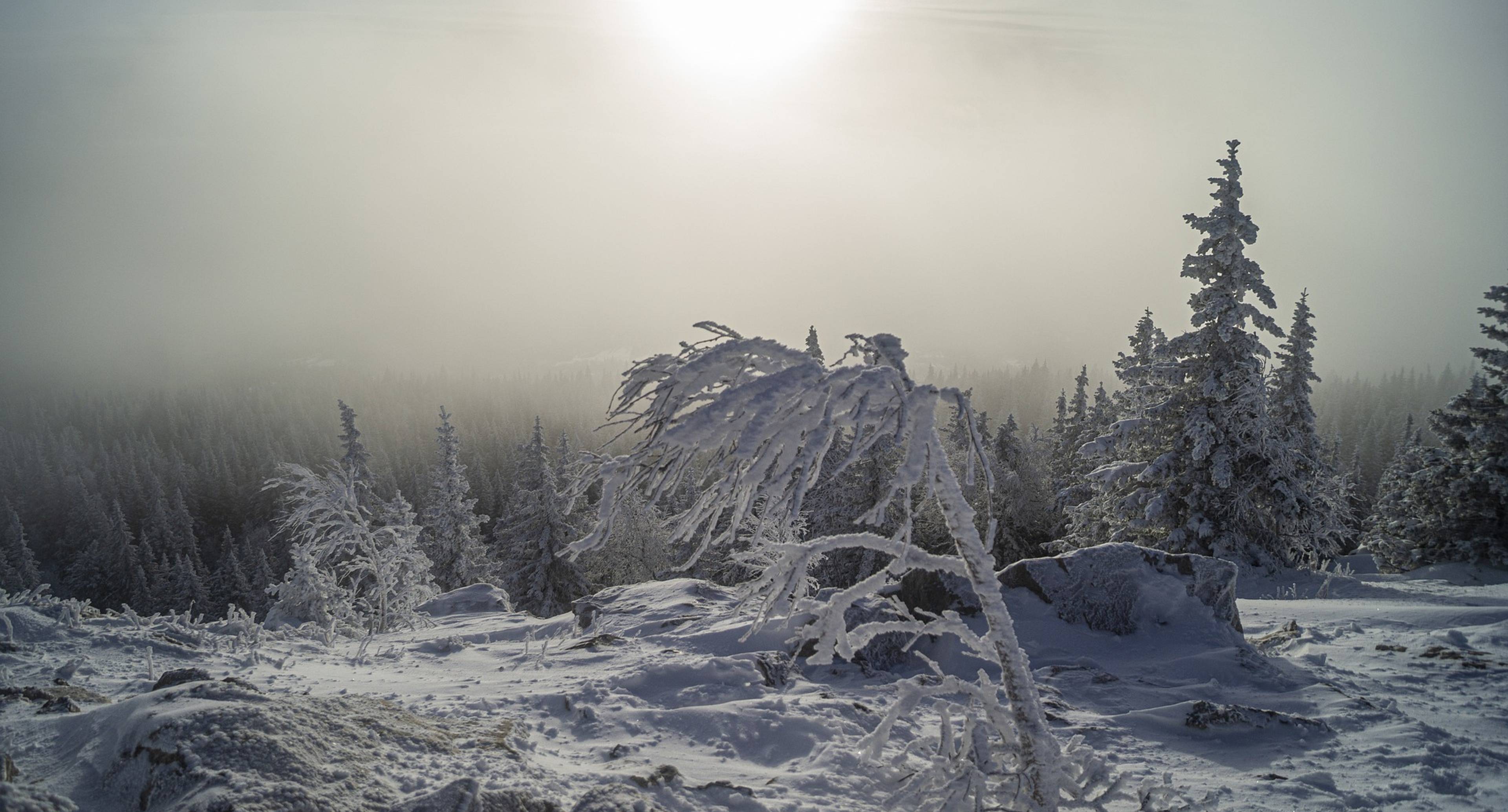 Nature of the North of the Chelyabinsk Region