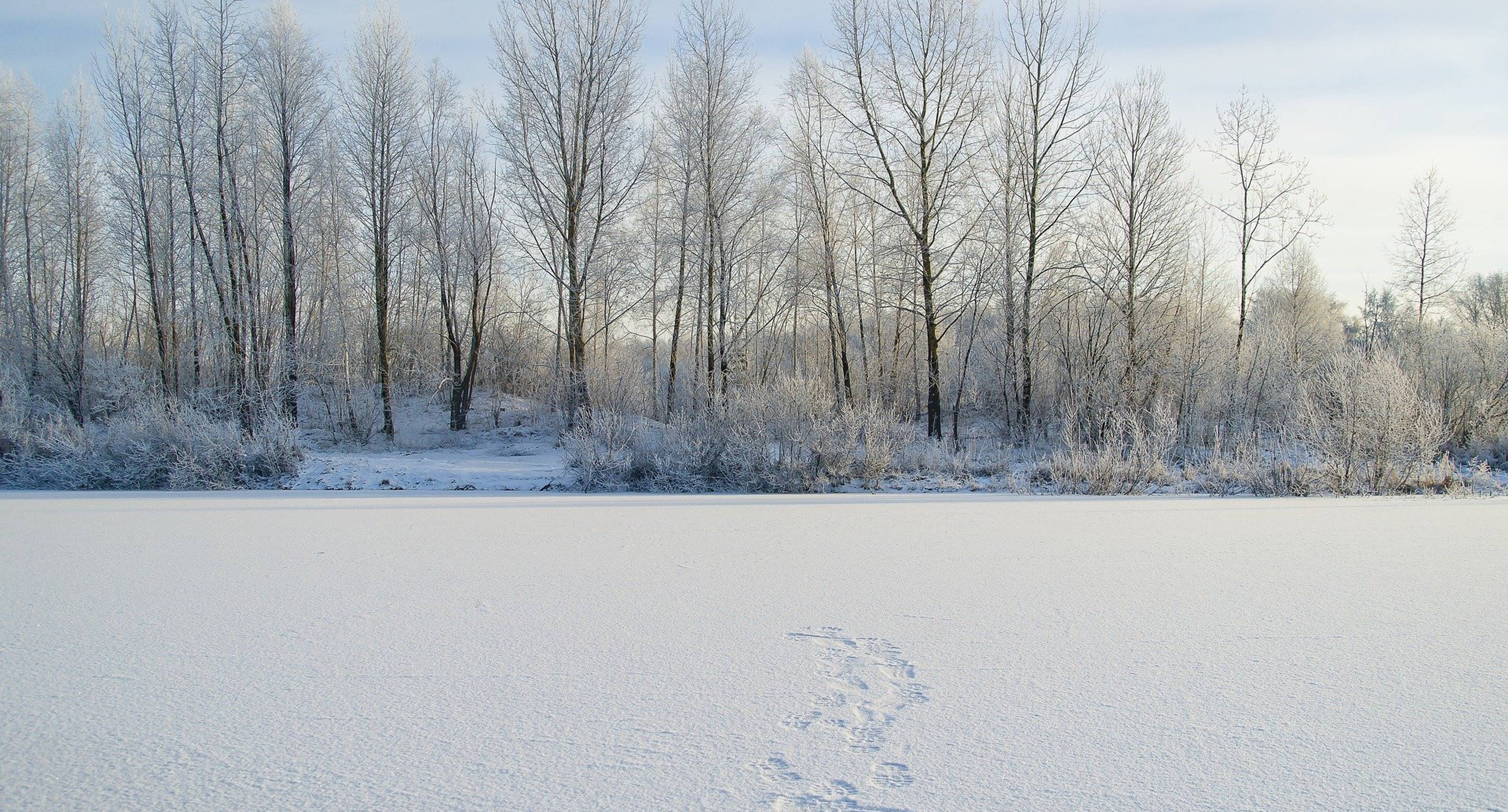 Chelyabinsk and its surroundings