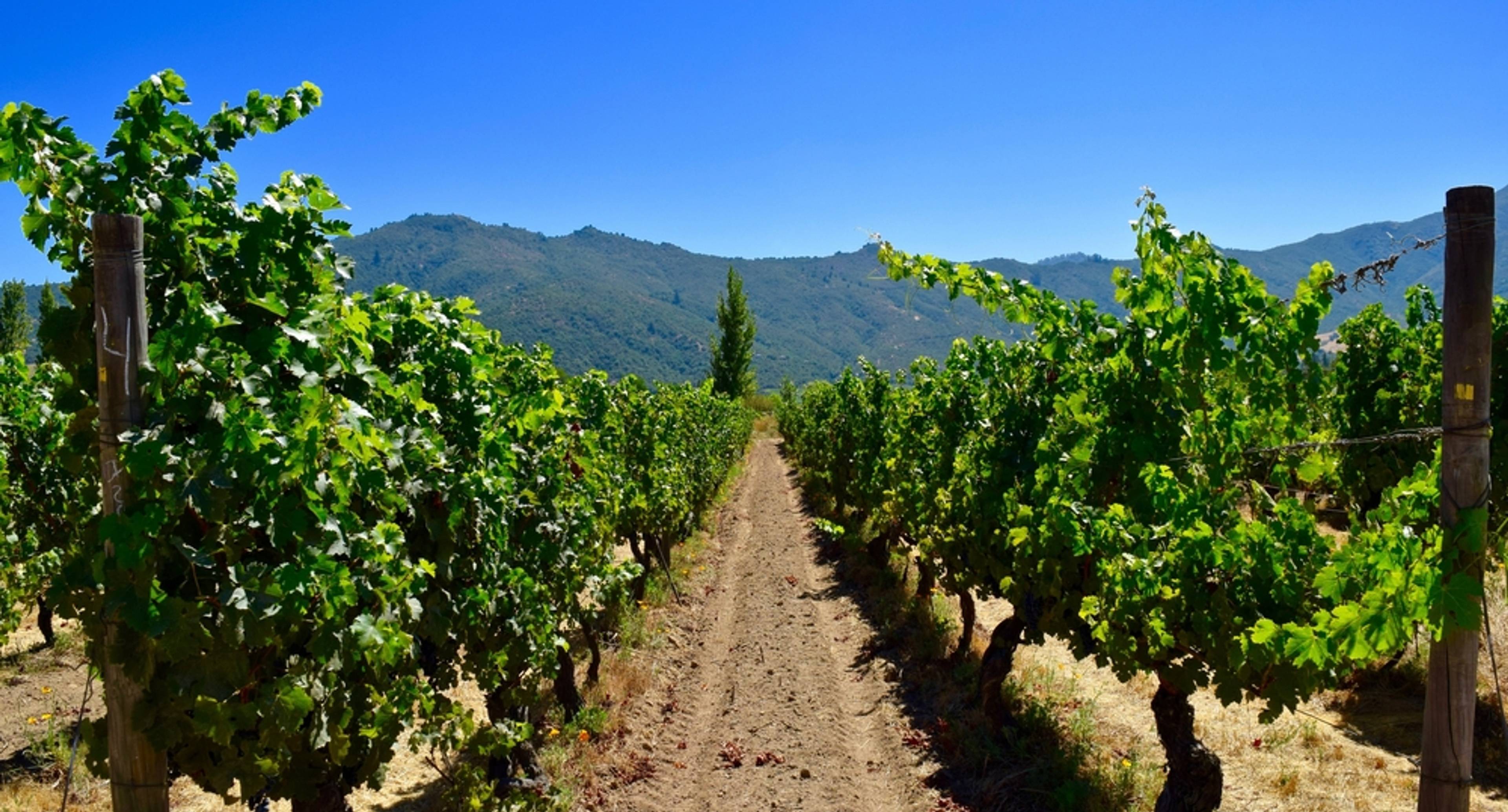 Le mélange parfait d'aventure, d'histoire et de vin