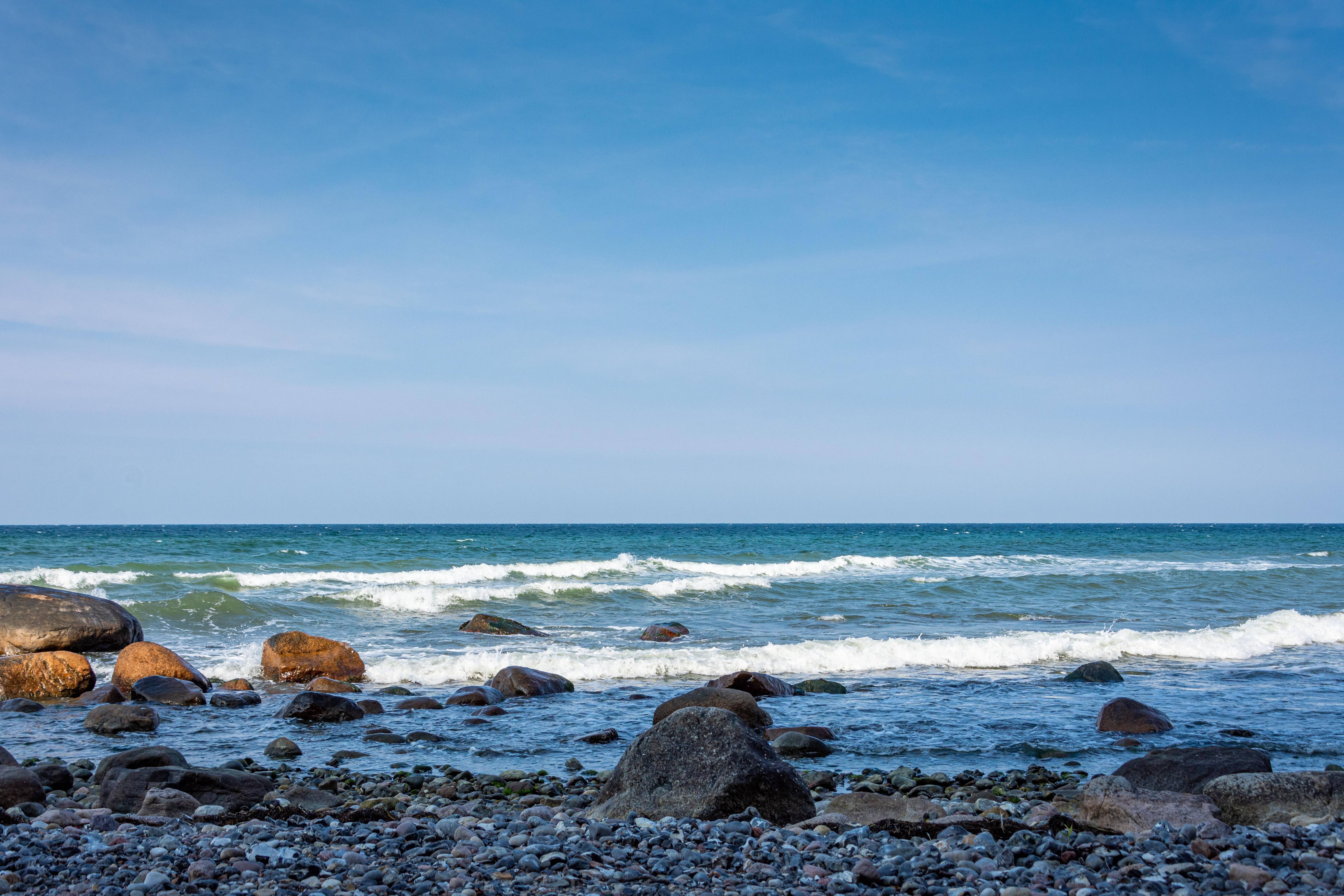 Simris Strandängar Nature Reserve