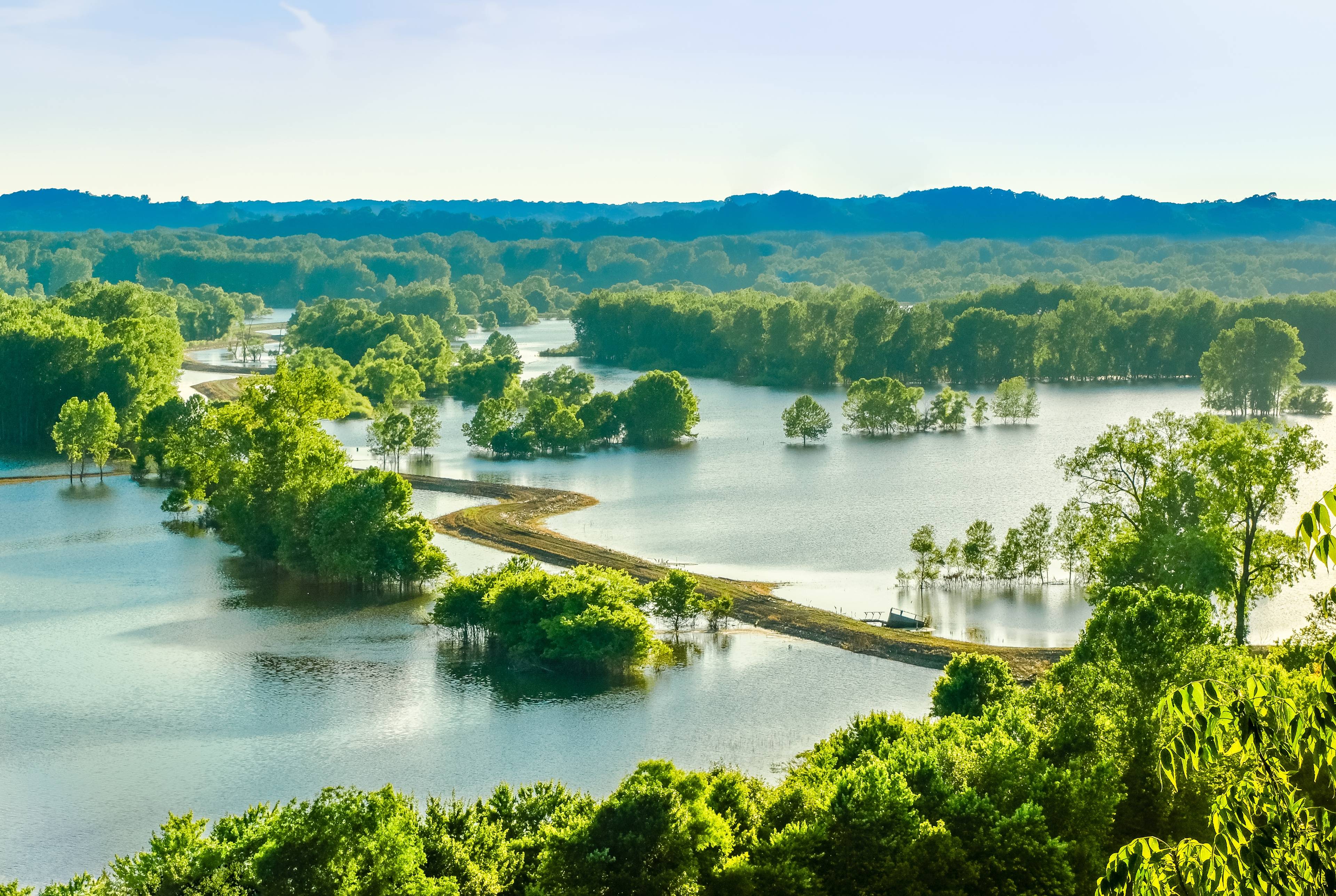 ⚡ Columbia: Heart of the Missouri Midwest     