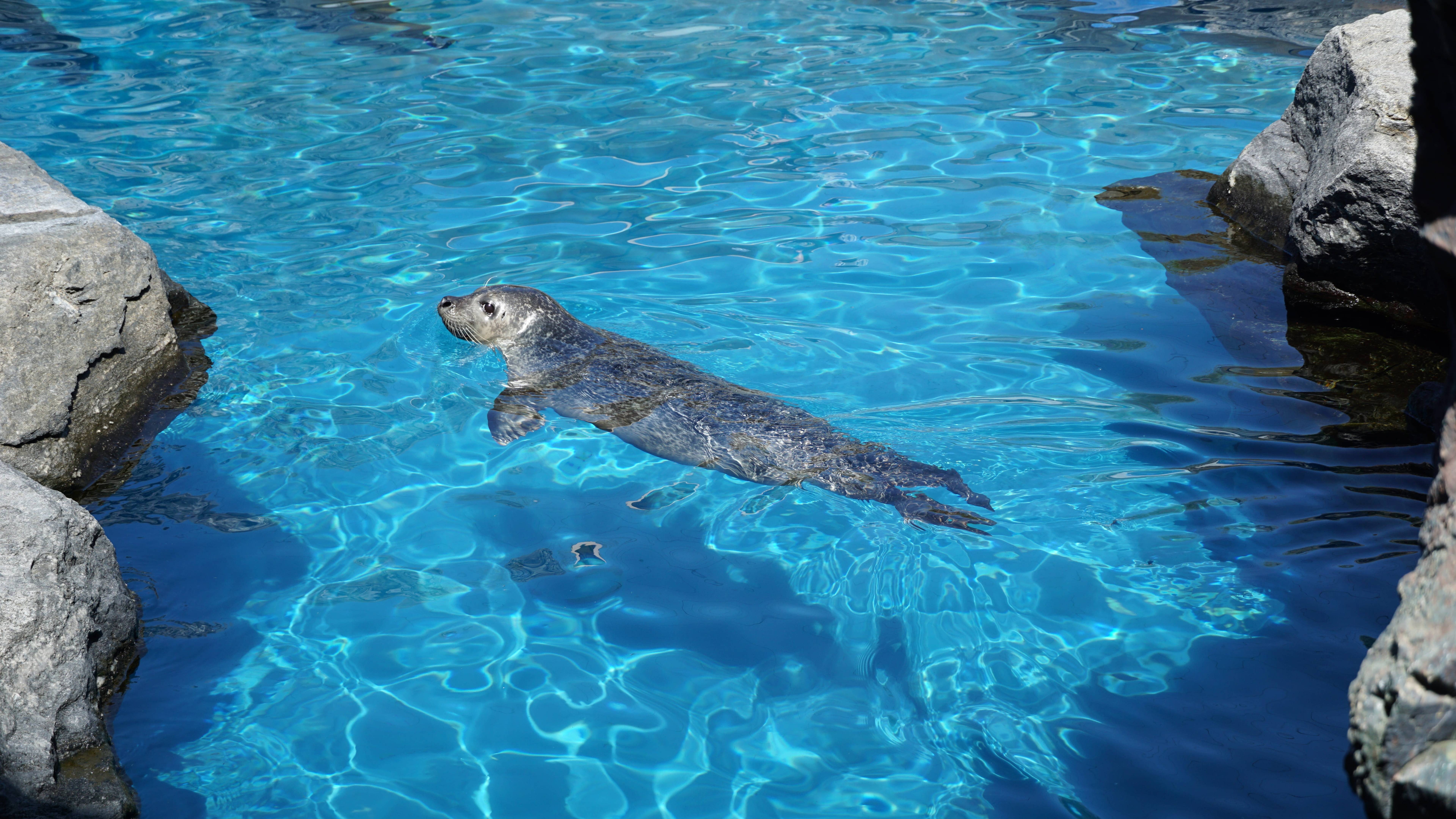 Mystic Aquarium