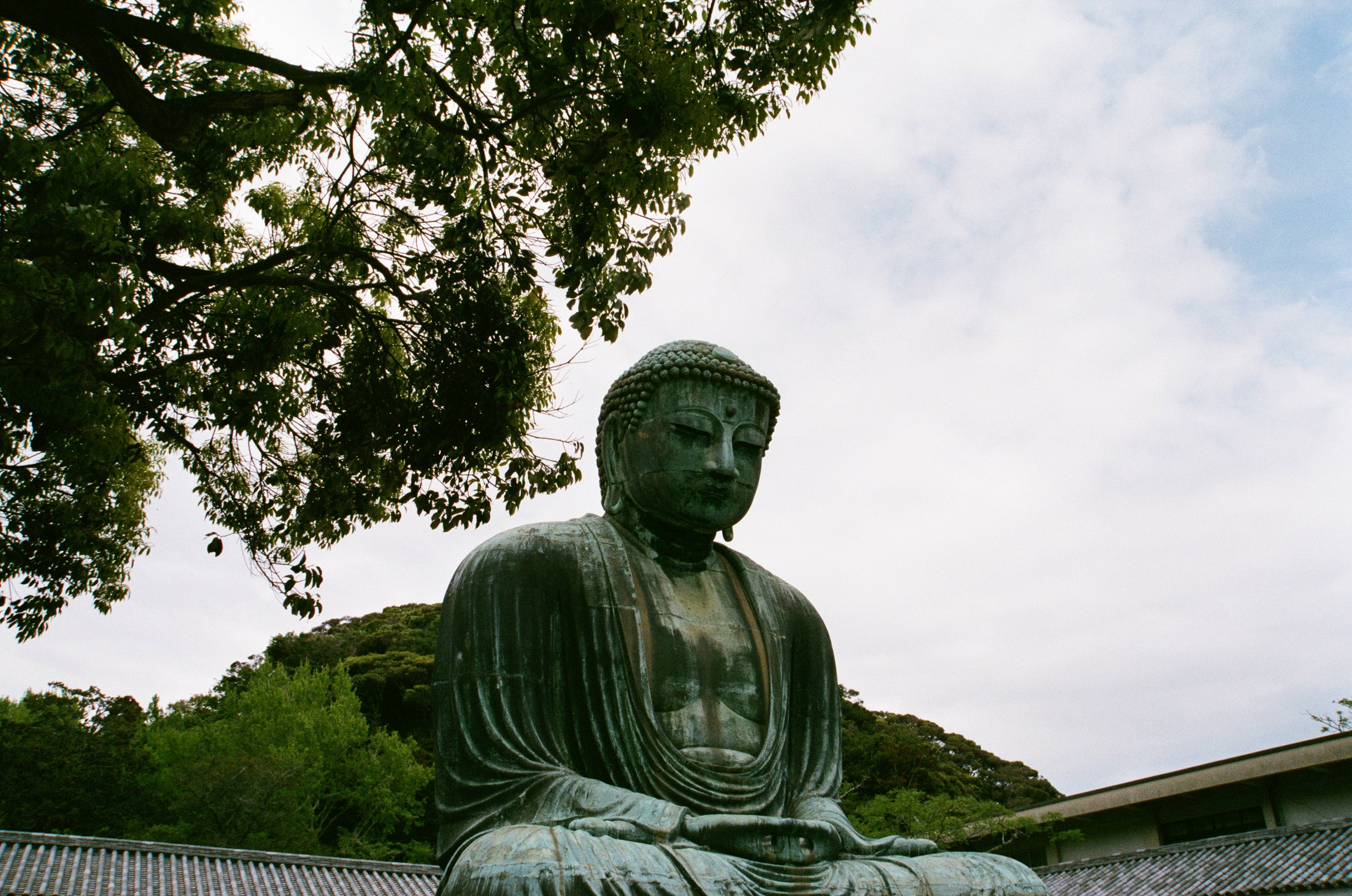 Great Buddha of Kamakura (鎌倉大仏)