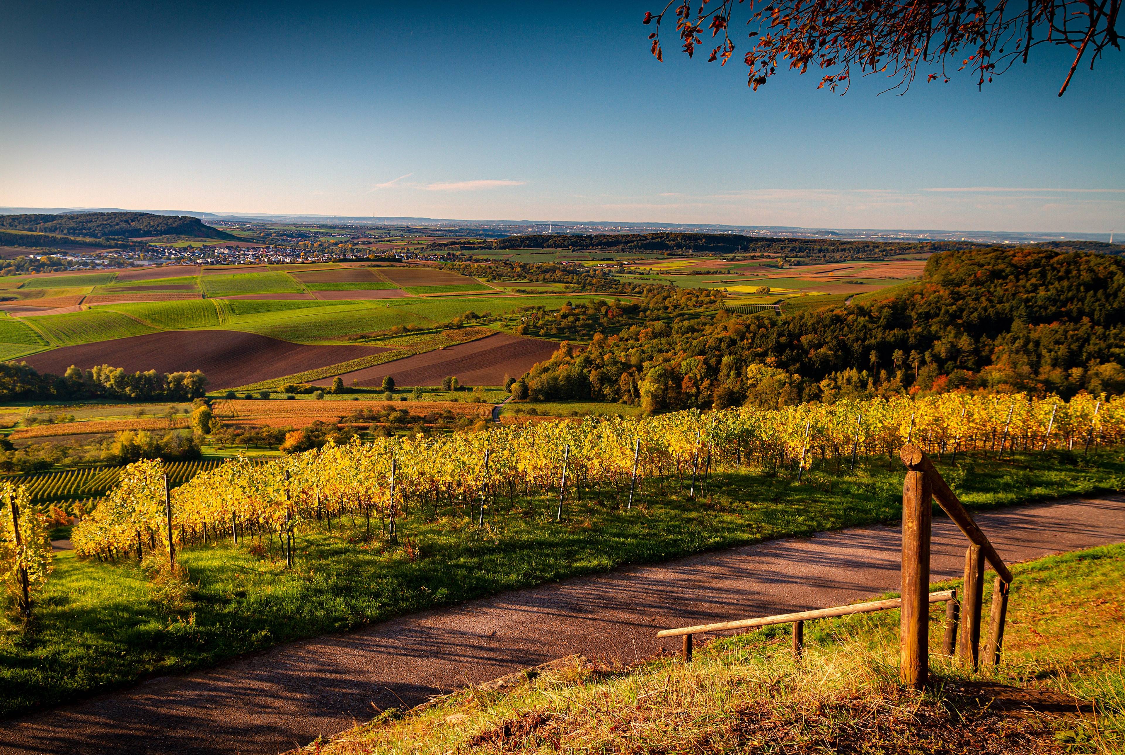 Paso Robles Journey: Explore the Central Coast Wine Country