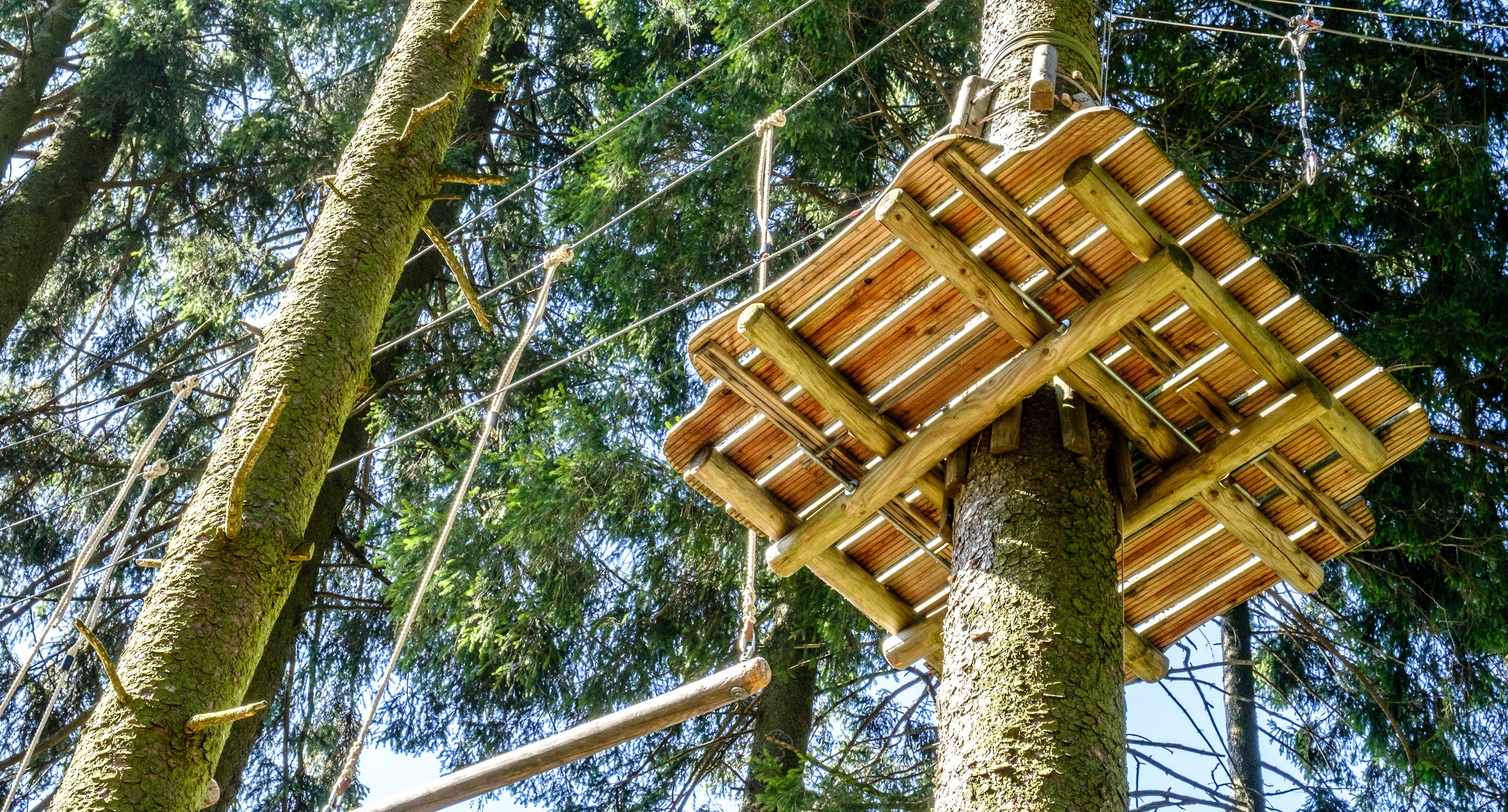 Klettern in einem Hochseilpark und Beobachten von Tieren in einem Wildgehege