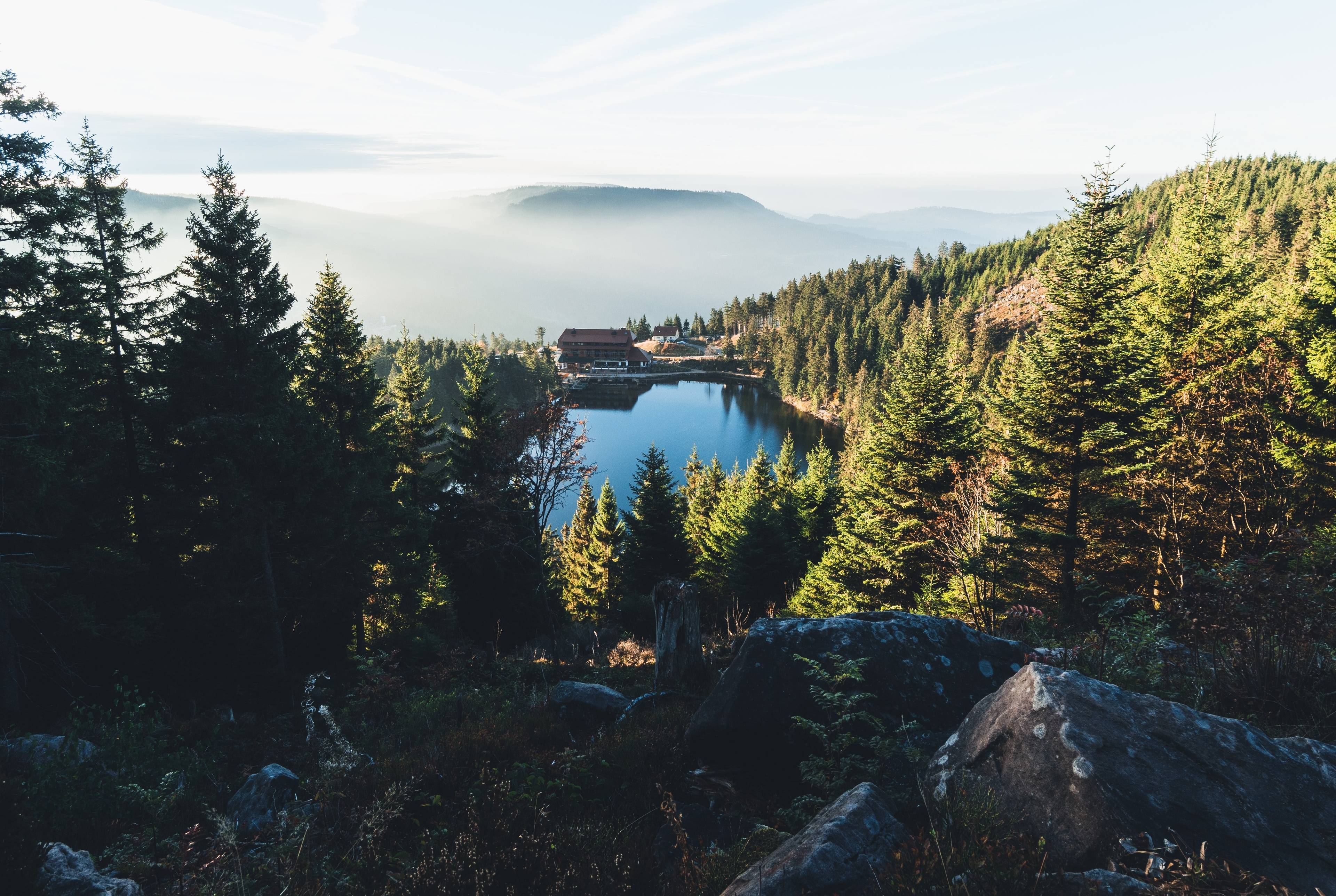 Across the Upper Black Forest to Alsace