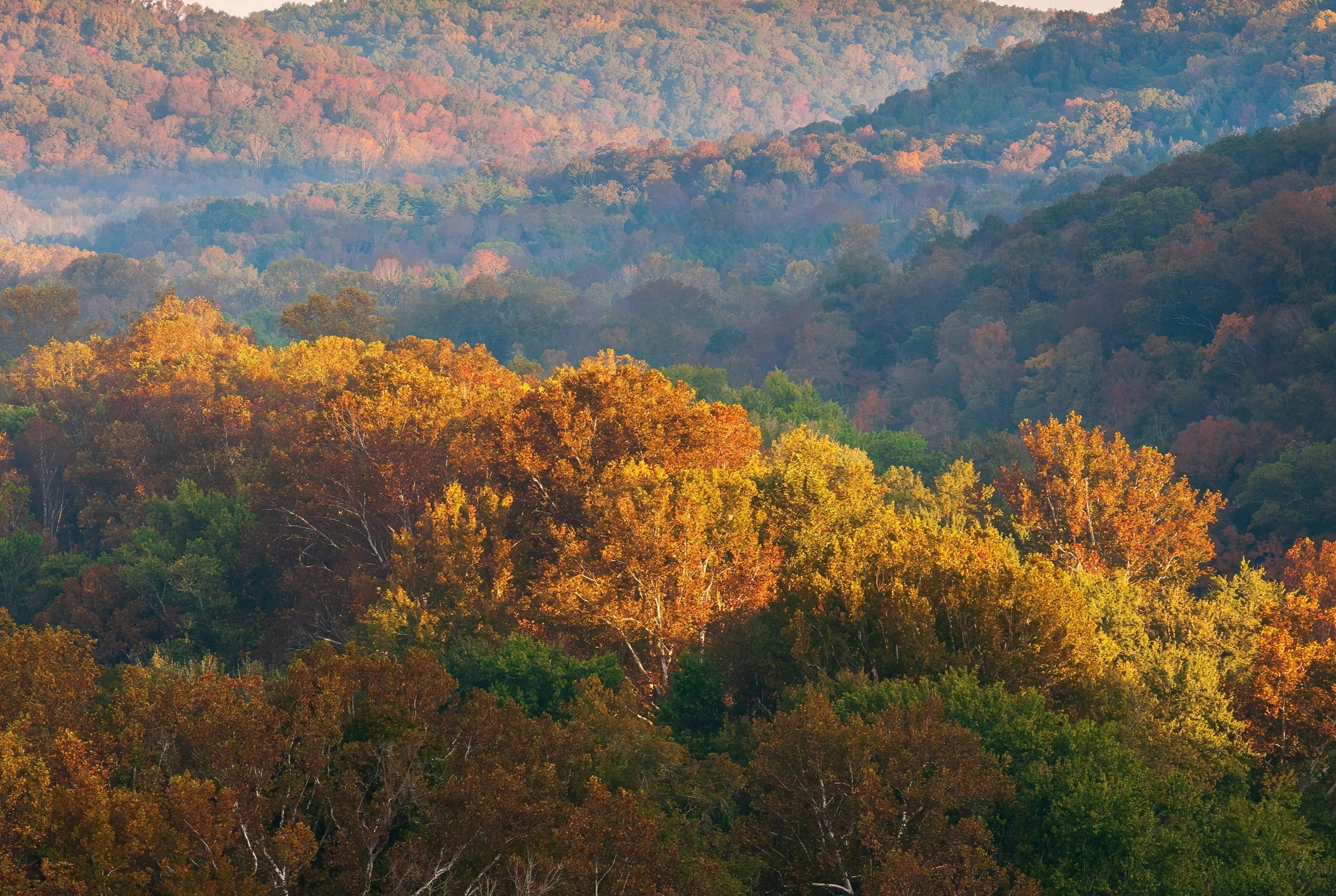 Two-Days Trip to Mammoth Cave National Park and Bowling Green