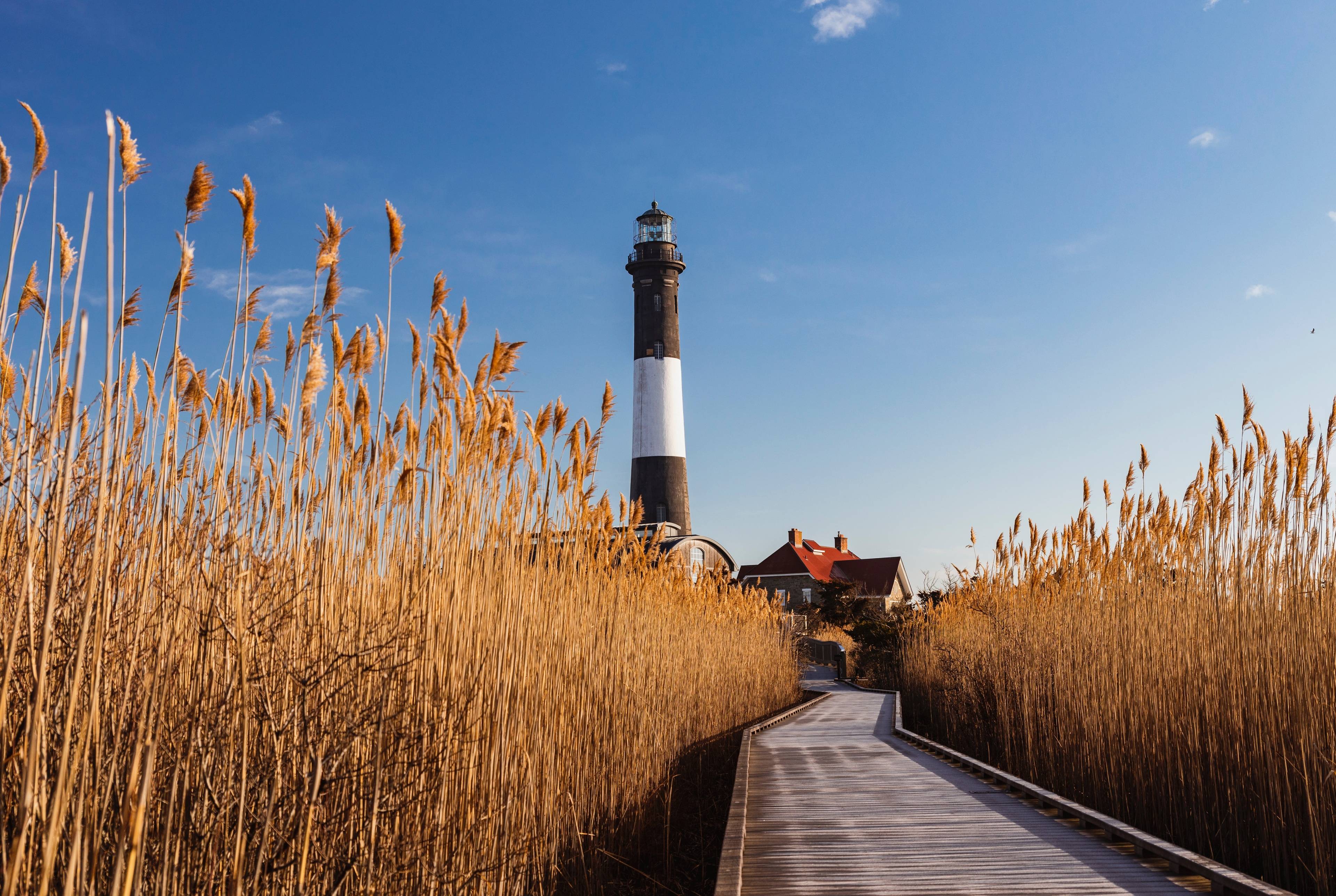 ⚡ Explore Long Island: Escape Into Nature From Glass and Stone