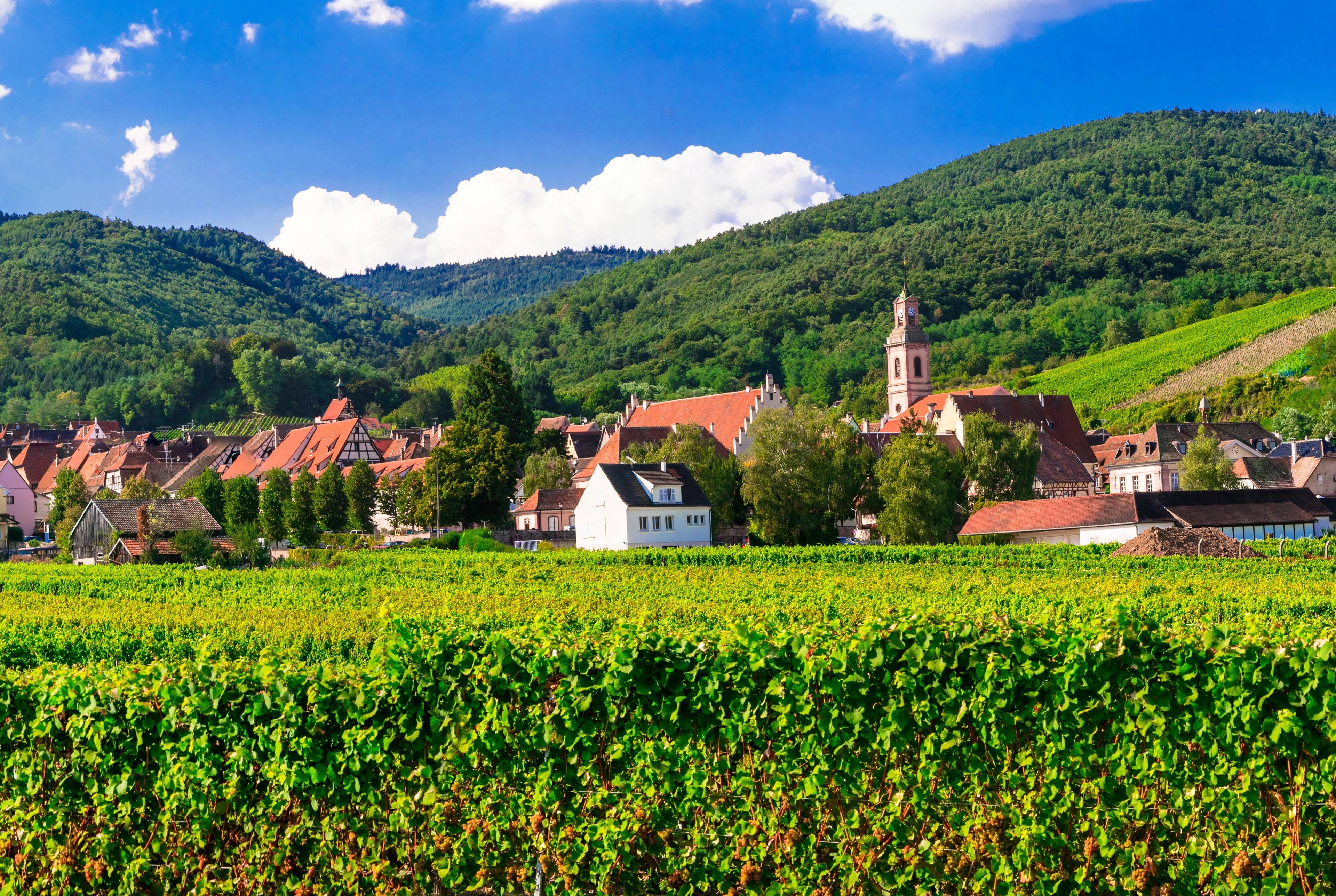 Discover the Beautiful Natural and Historical Heritage of Alsace 