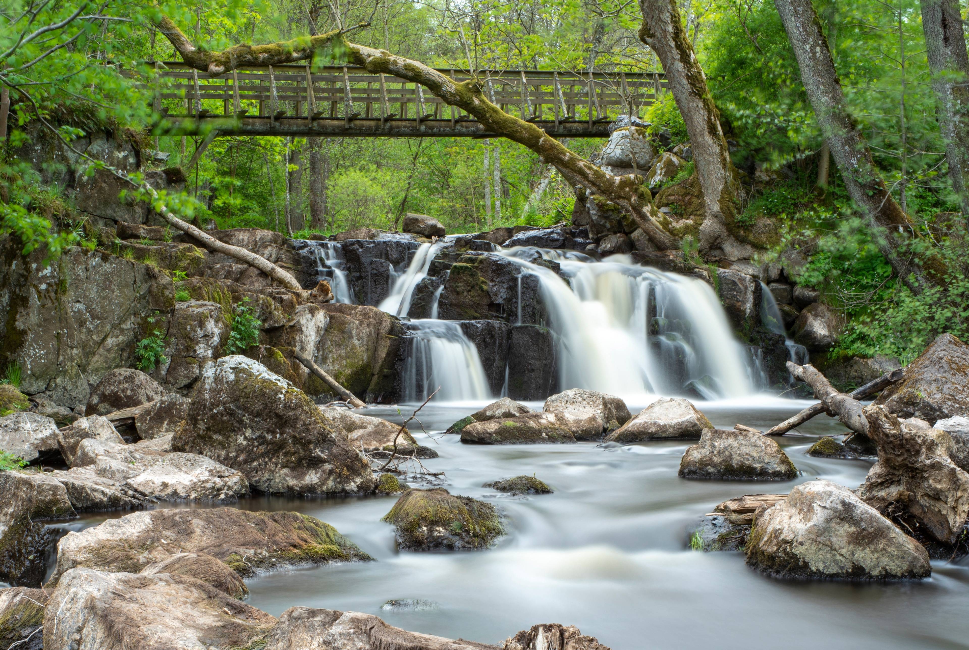 Malmö 3 Day Roundtrip: Wander Gardens, Stenshuvud National Park, Parks, & Explore Galgberget