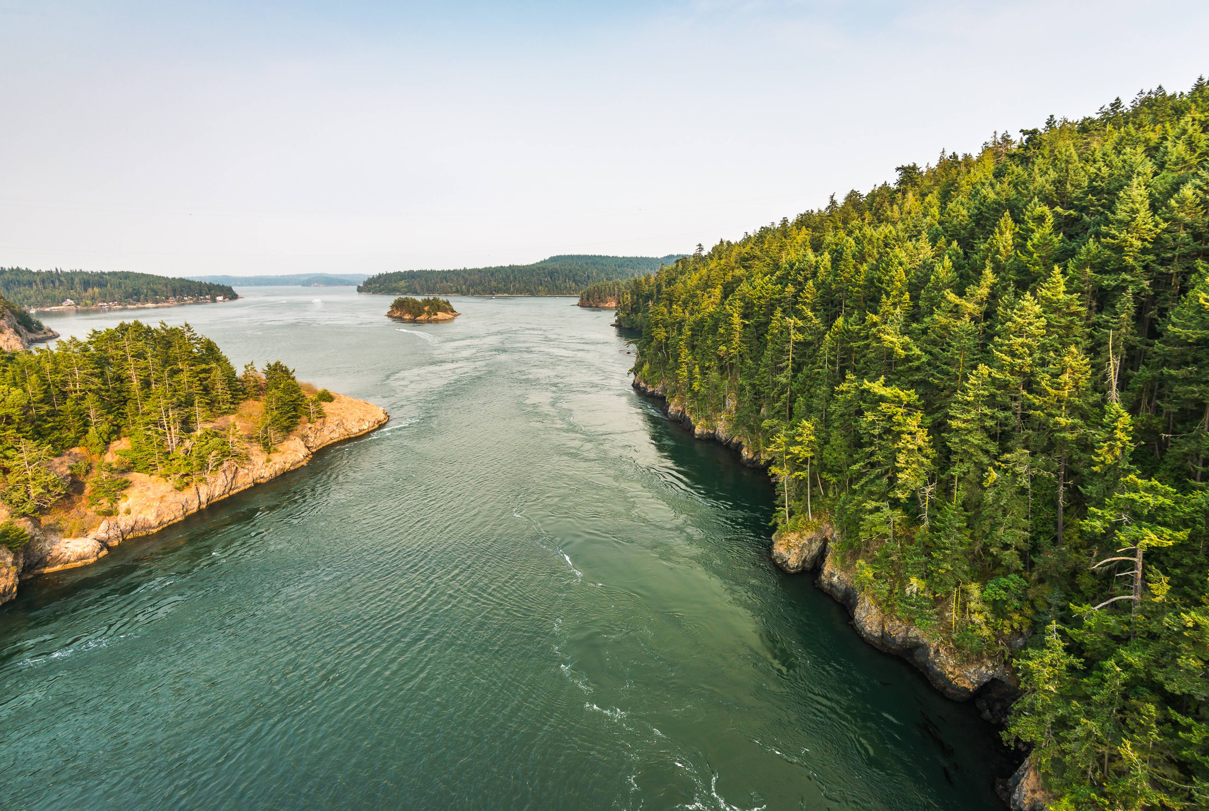 Journey From Skagit Valley to the Sea Shores