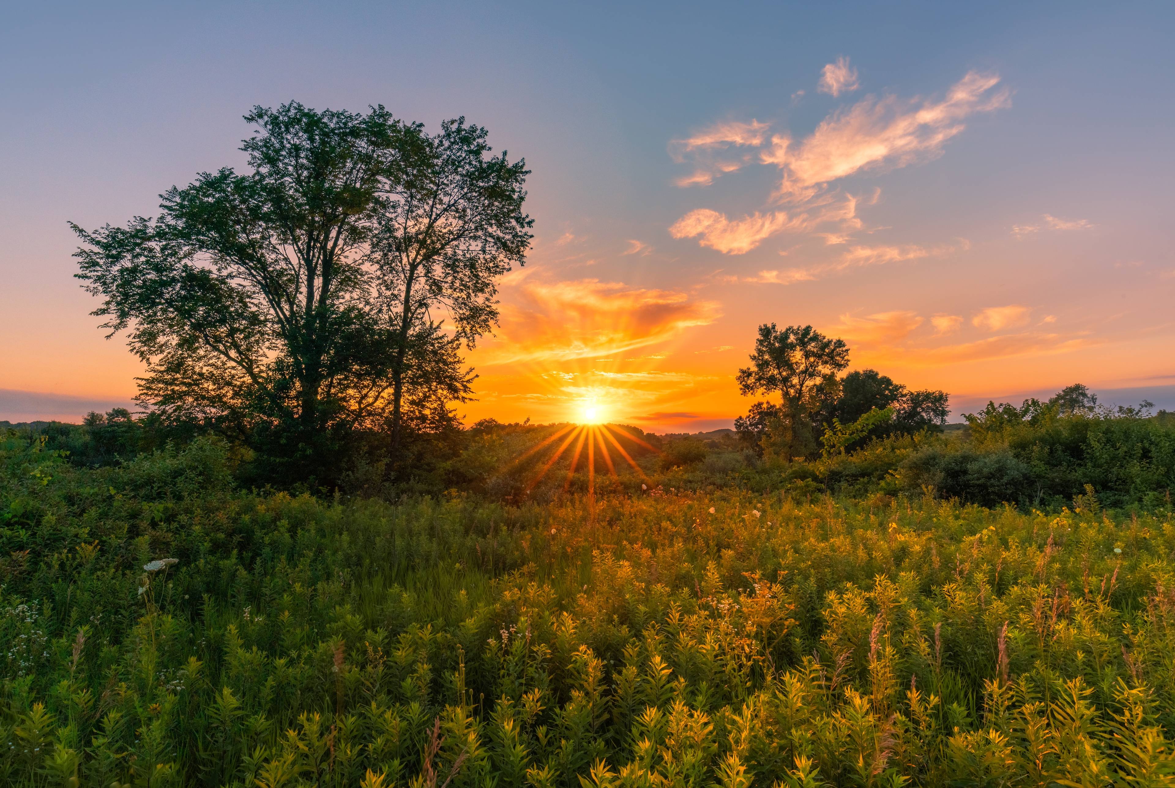 ⚡ Country Living and History in the American Midwest