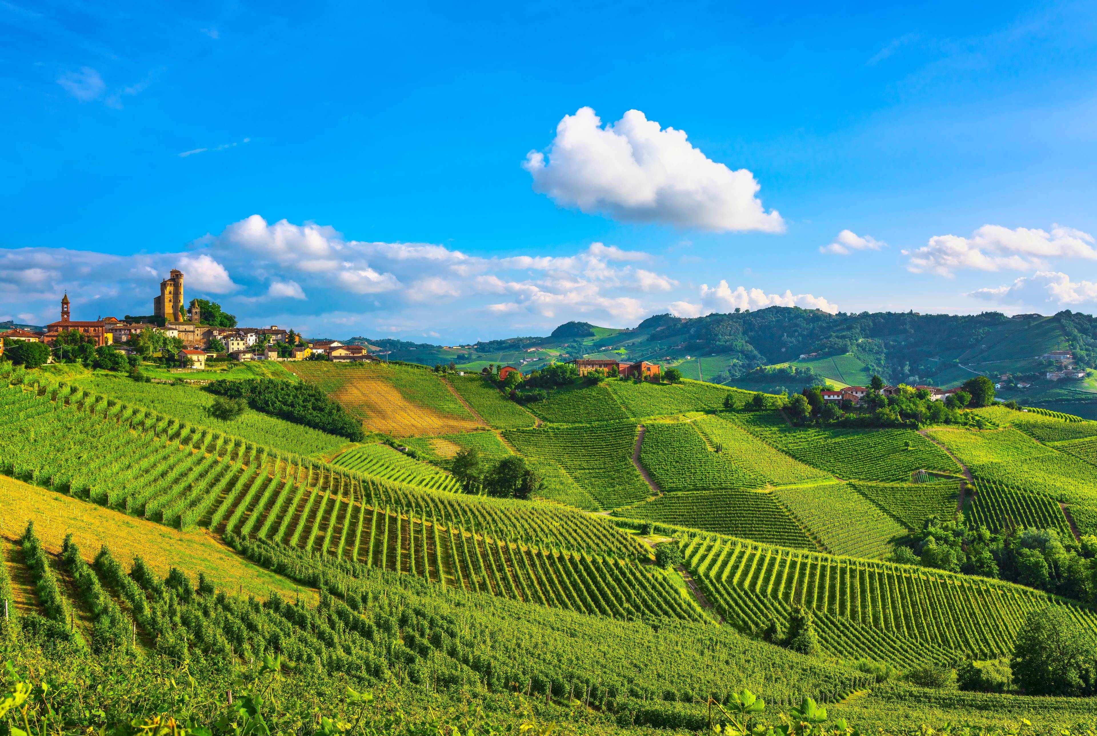 Langhe, A Sensory Experience