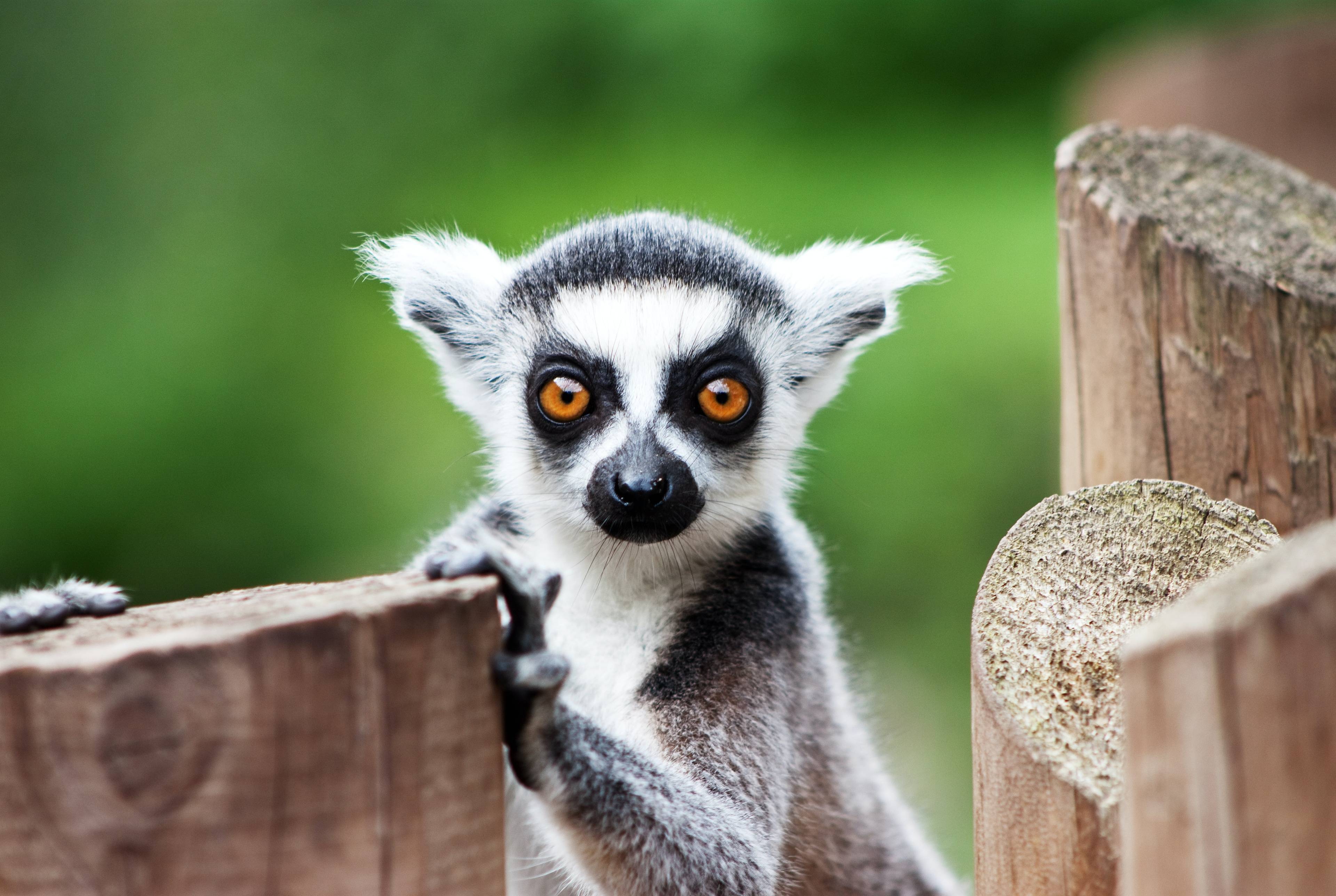 Kid-Friendly Wildlife Trail in Scotland