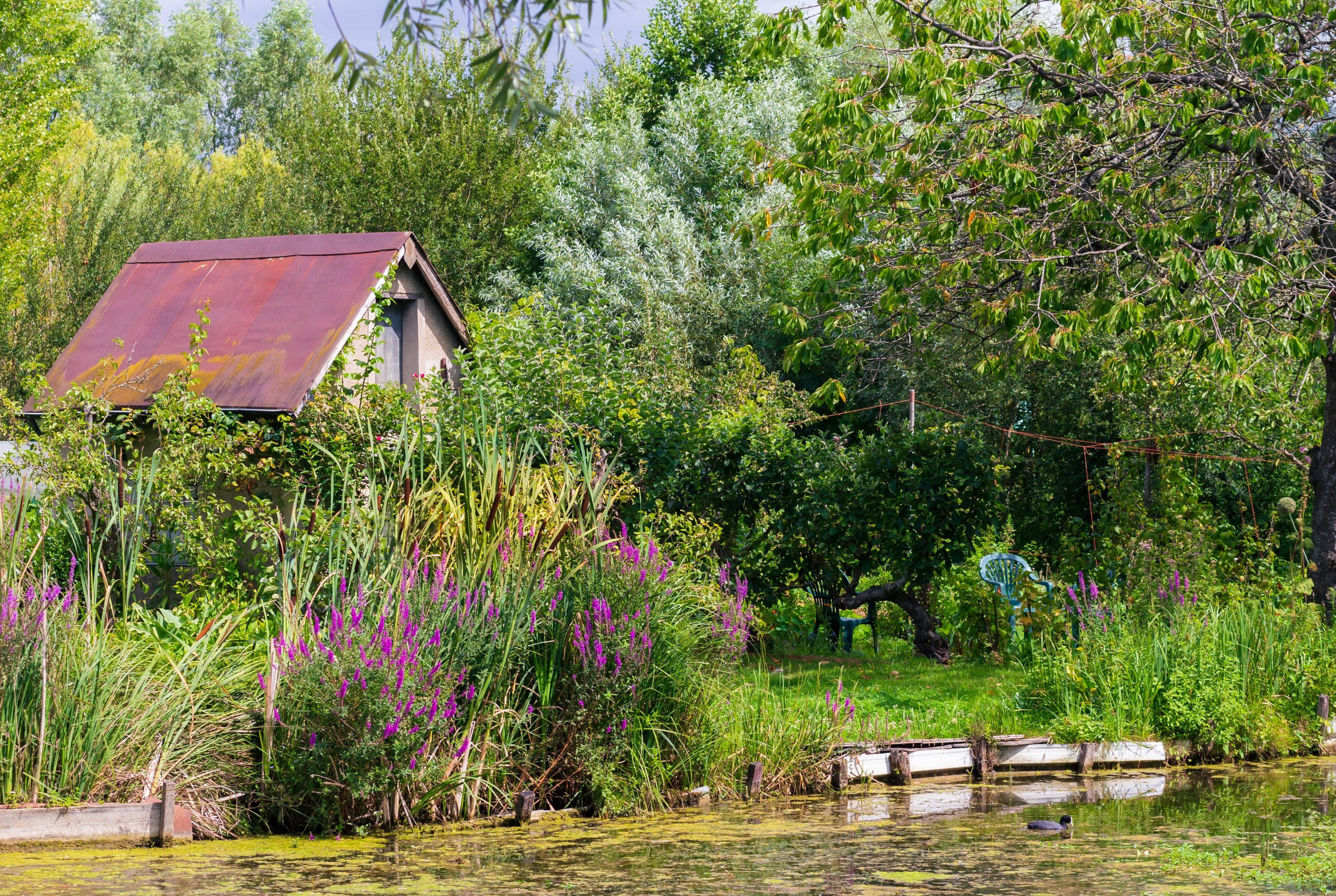 A Cross Country French Adventure