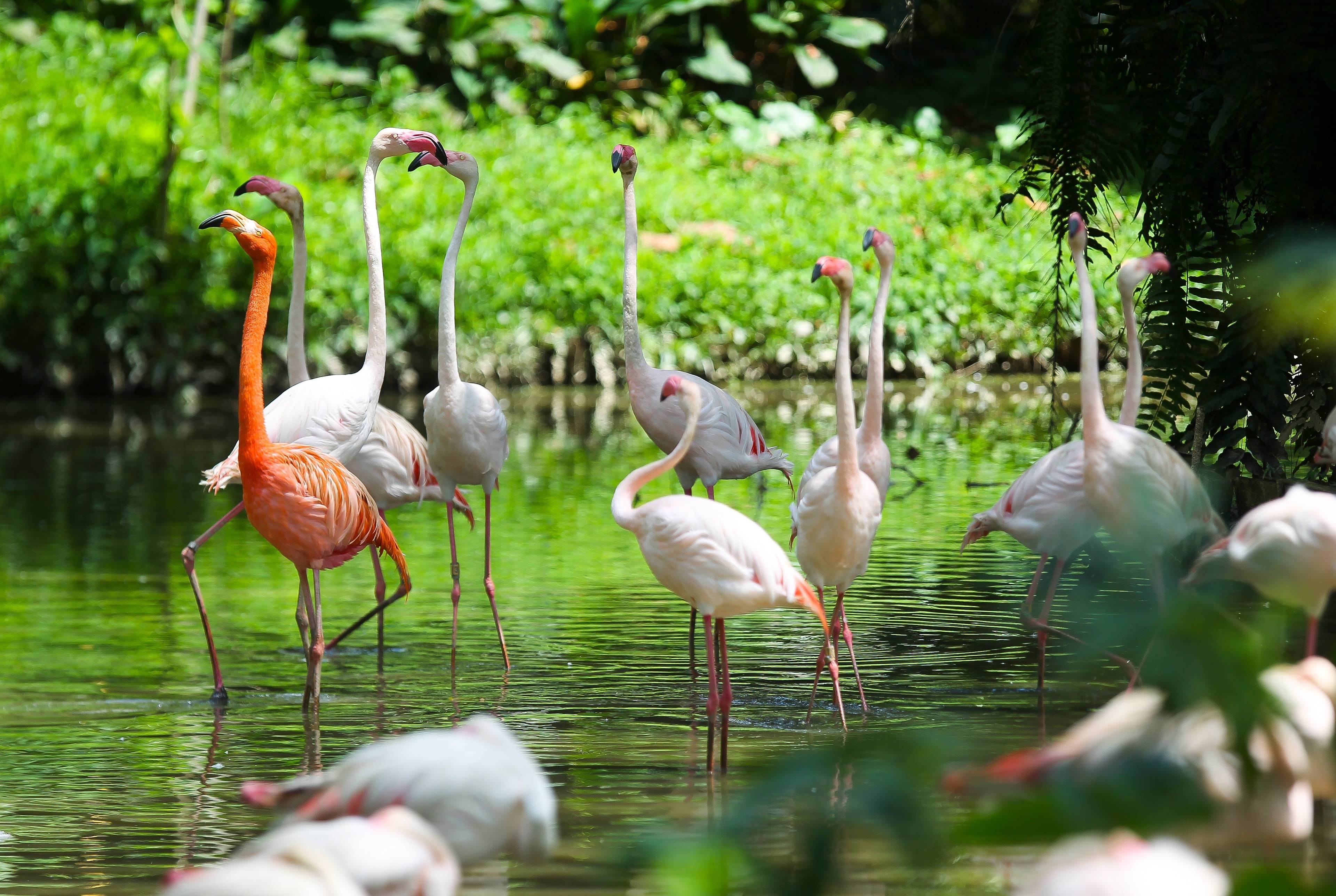 Bird Park and Boat Trip: Road Trip on the Tracks of the Local Birds