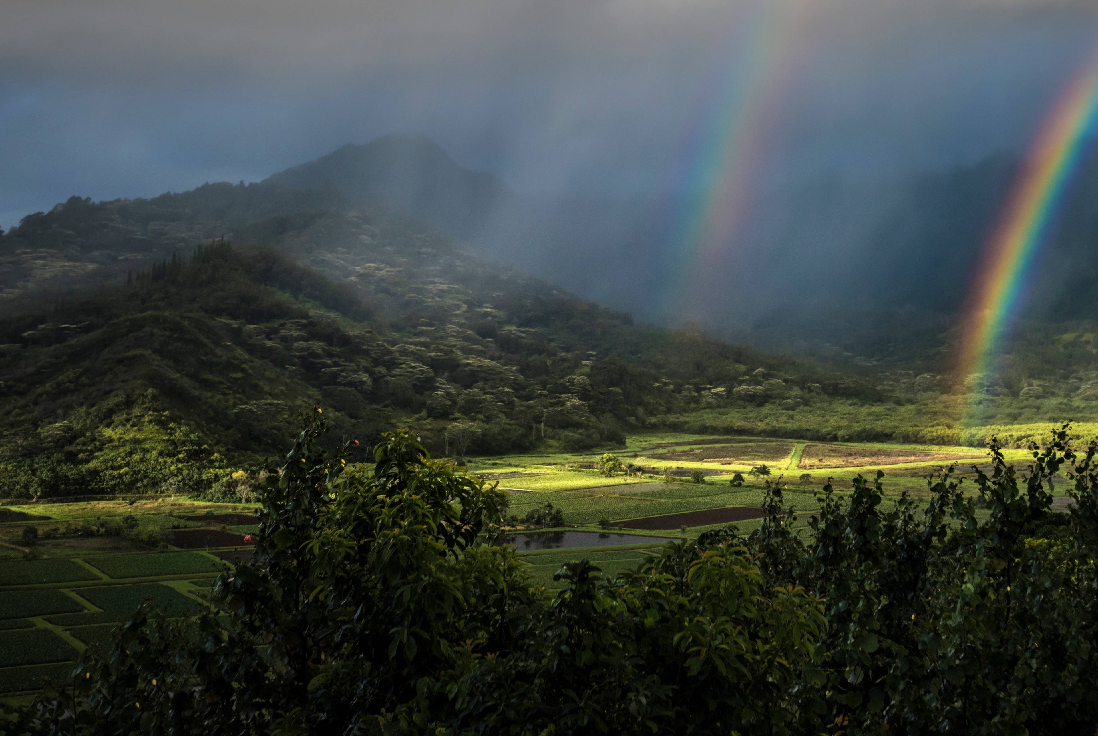 One Epic Day Exploring Kauai’s North Shore, Round Trip From Lihue