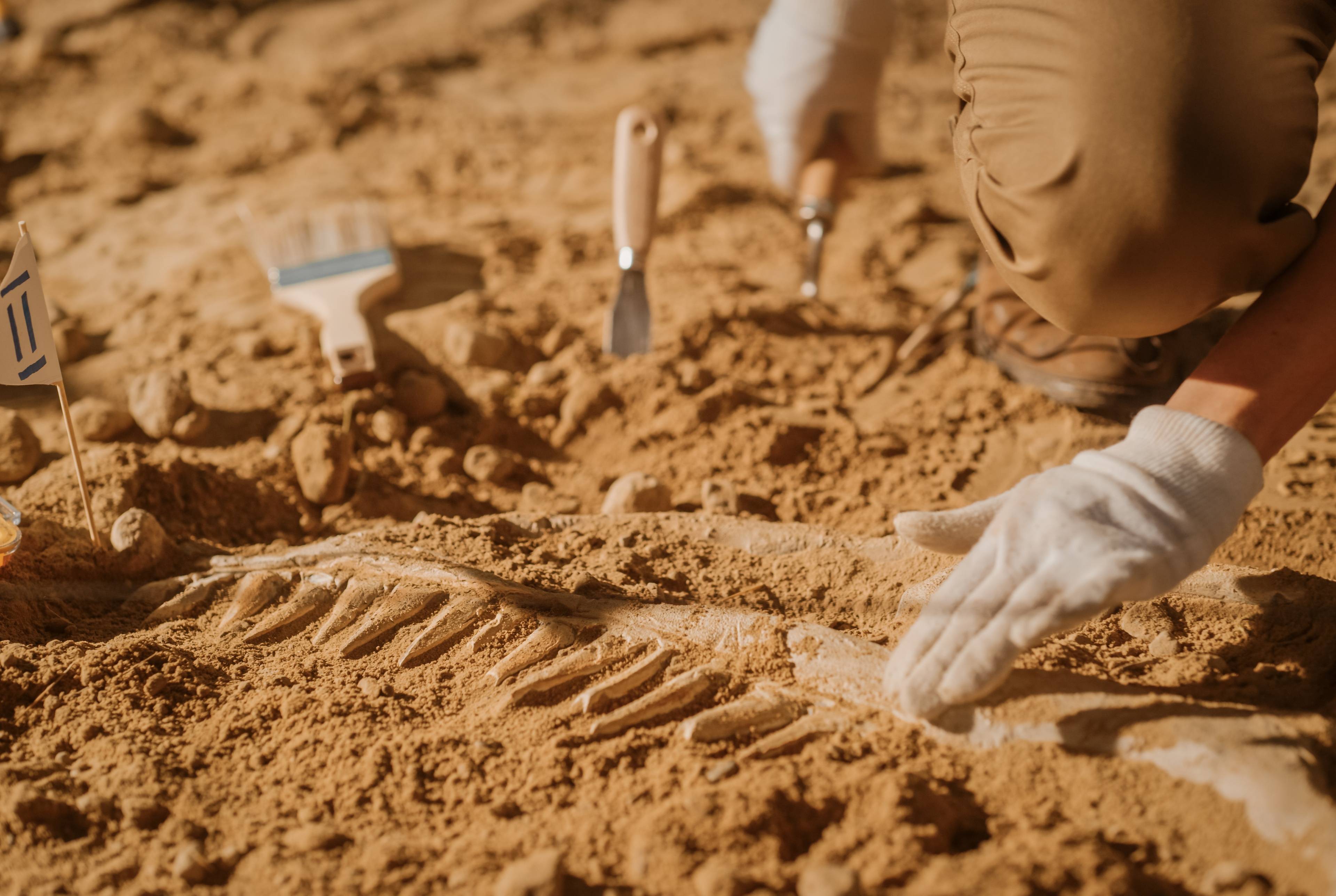 Family Trip: Dinosaur Trekking, Human Evolution and Cathedral Culture in Burgos