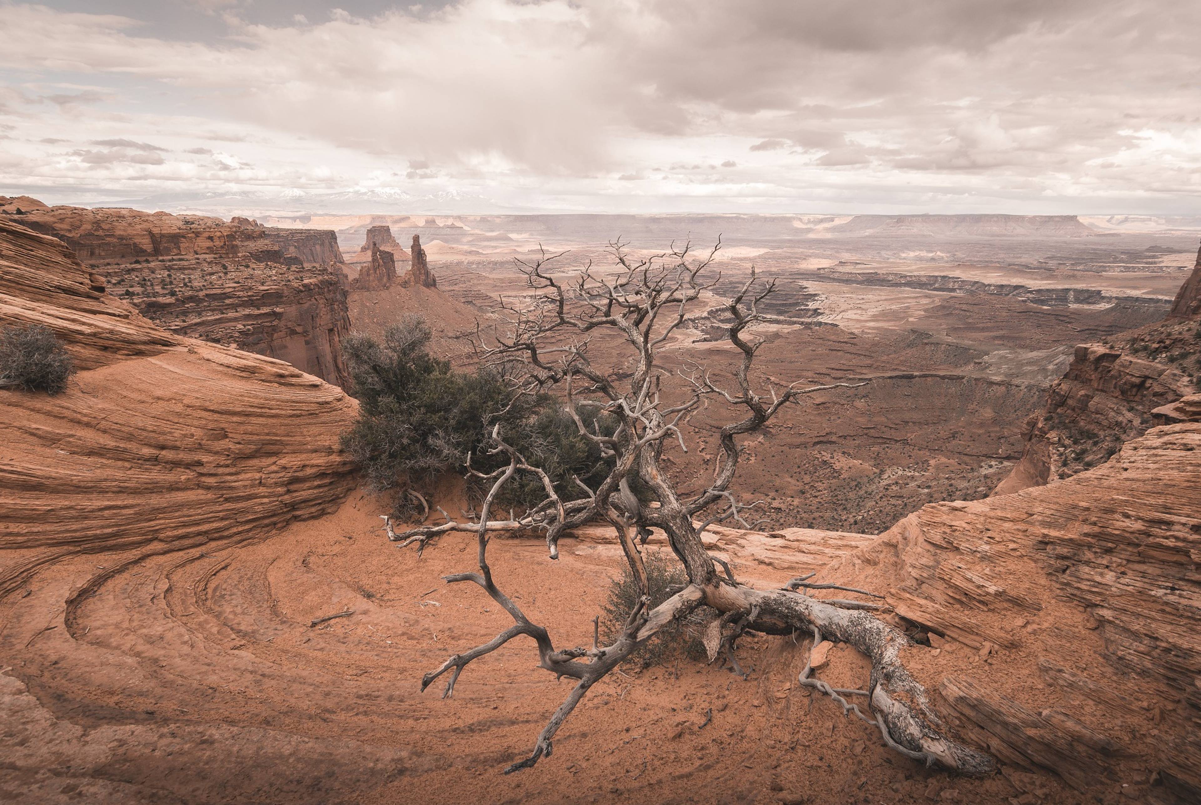 National Parks State: Utah from North to South