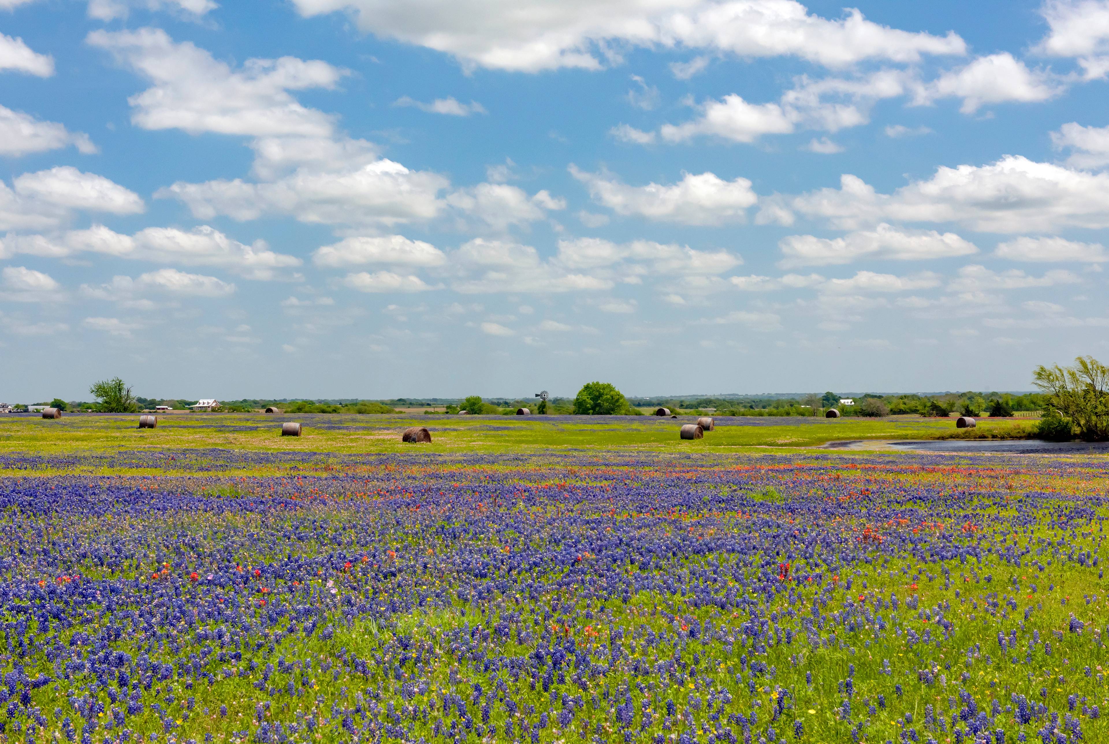 A Day Trip to Bryan-College Station, Where Community Passion Meets Historic Charm