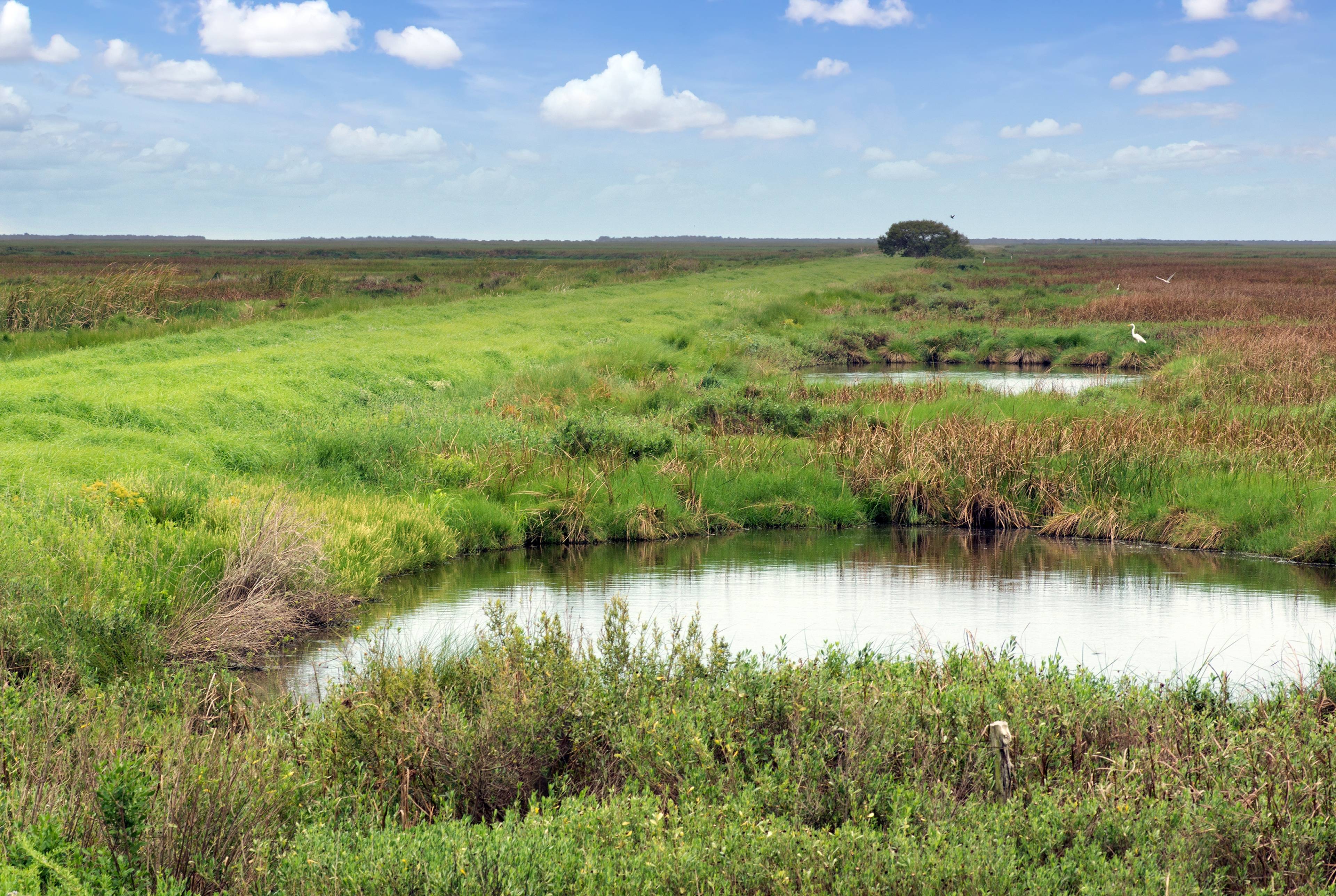 History & Nature Along the Gulf Coast: Brazoria and Fort Bend Counties 