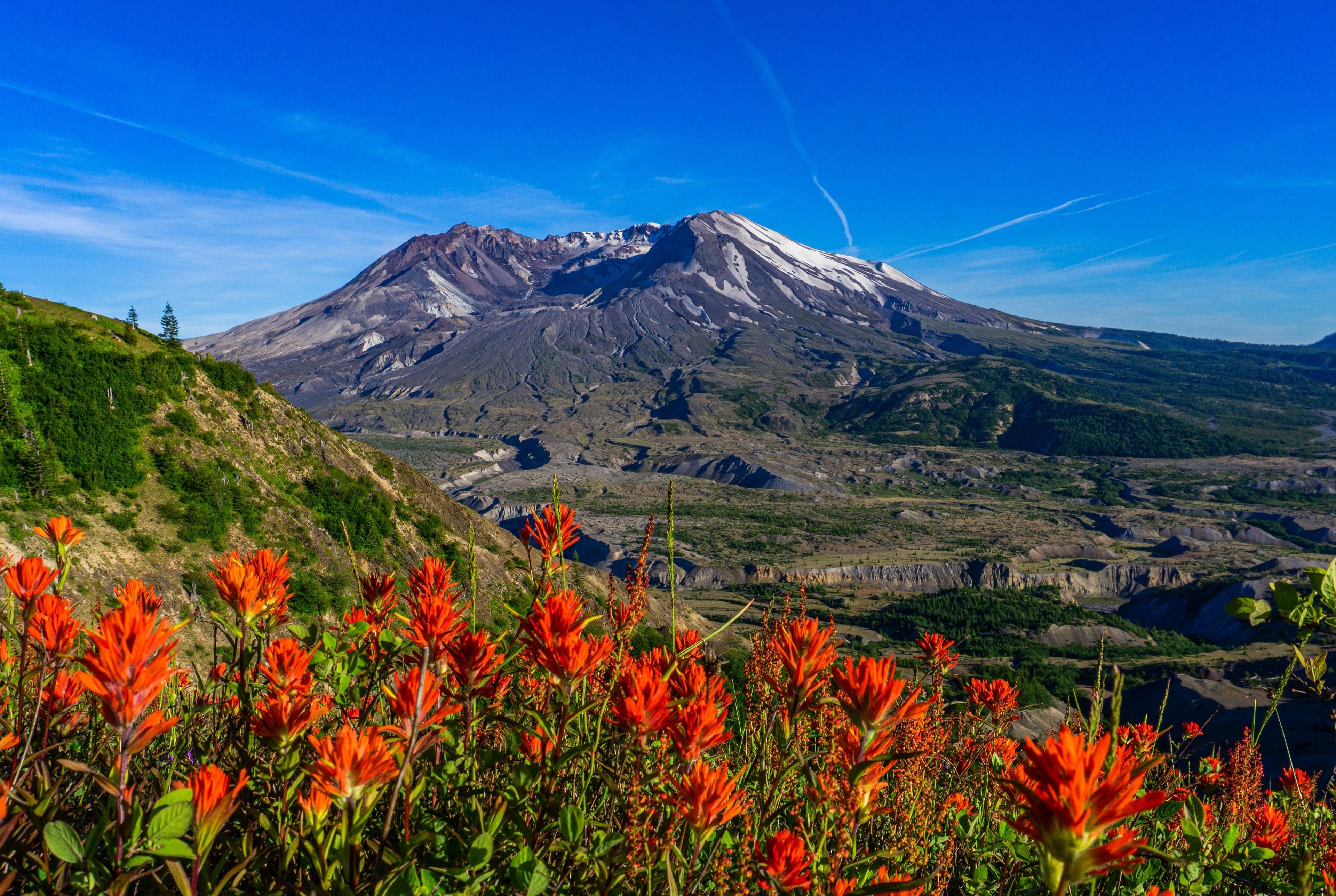 Mount Saint Helens: Volcanic History Tour