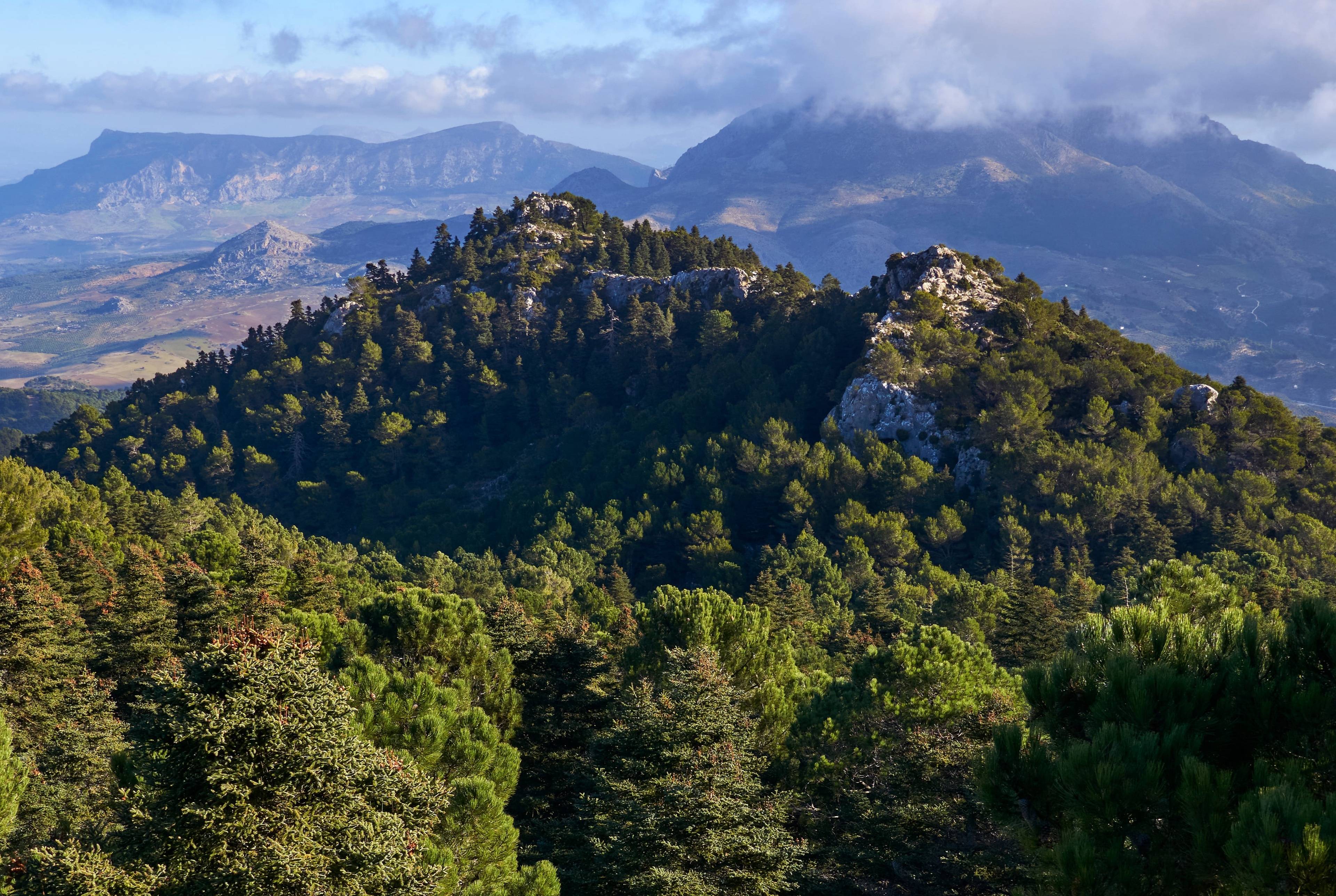 Hiking in Sierra de Las Nieves Park