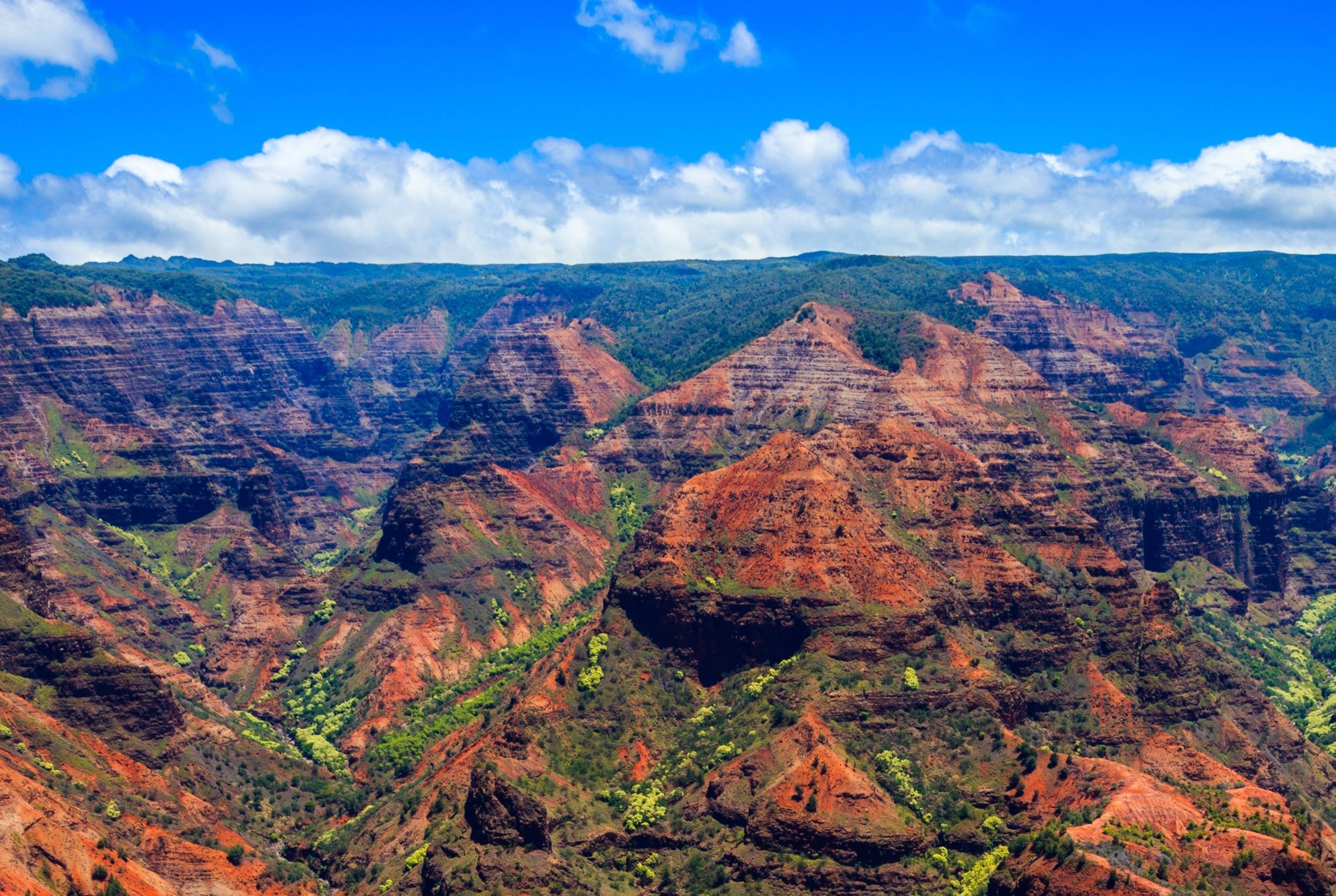 Kauai Road Trip: Explore Waimea Canyon, Hanapepe, and Poipu Beach in a Day