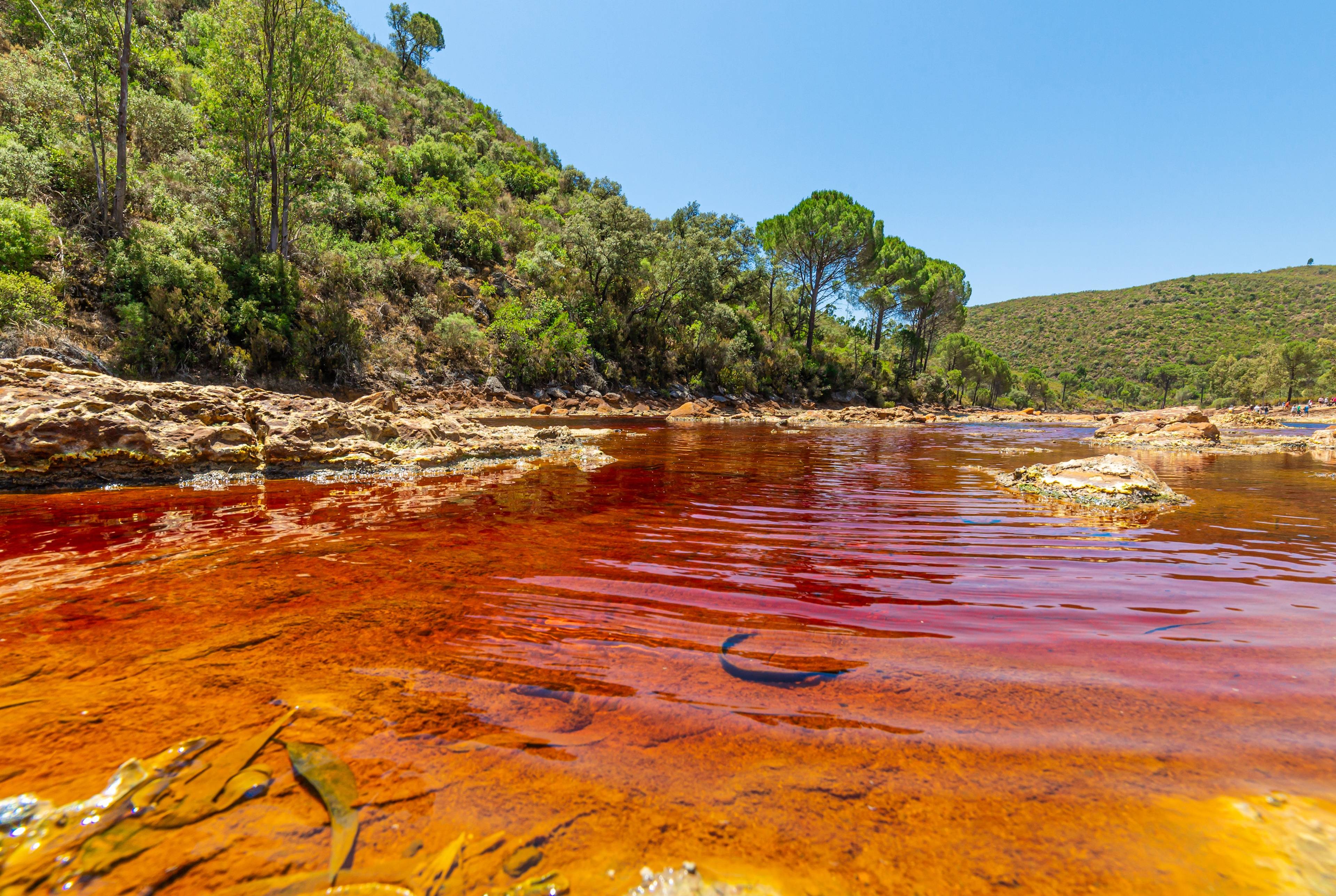 Family Trip: Rio Tinto Mines, Beaches and Nature