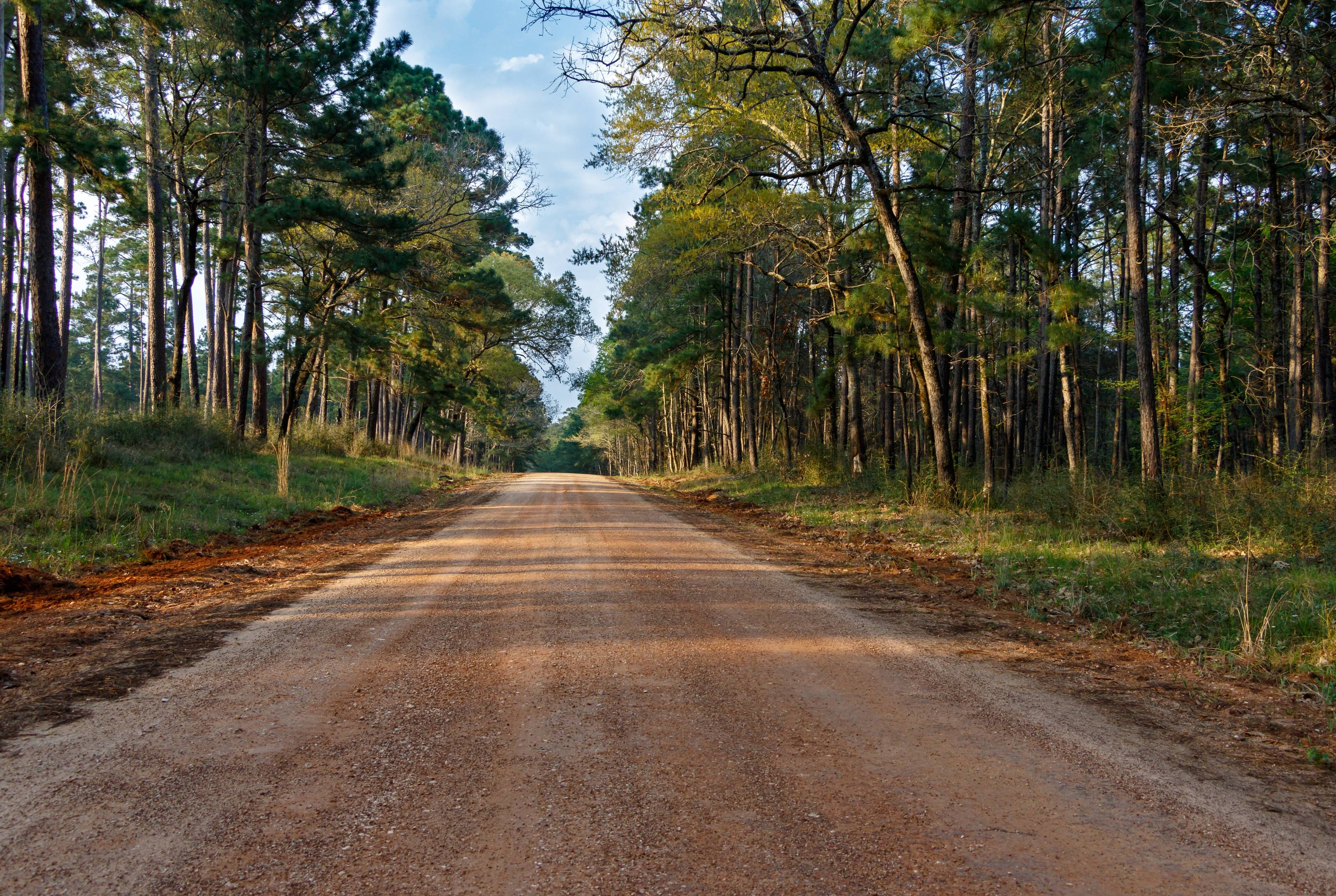 Escape to the Sam Houston National Forest: Piney Woods, Waterfront Views, and Texas Wine