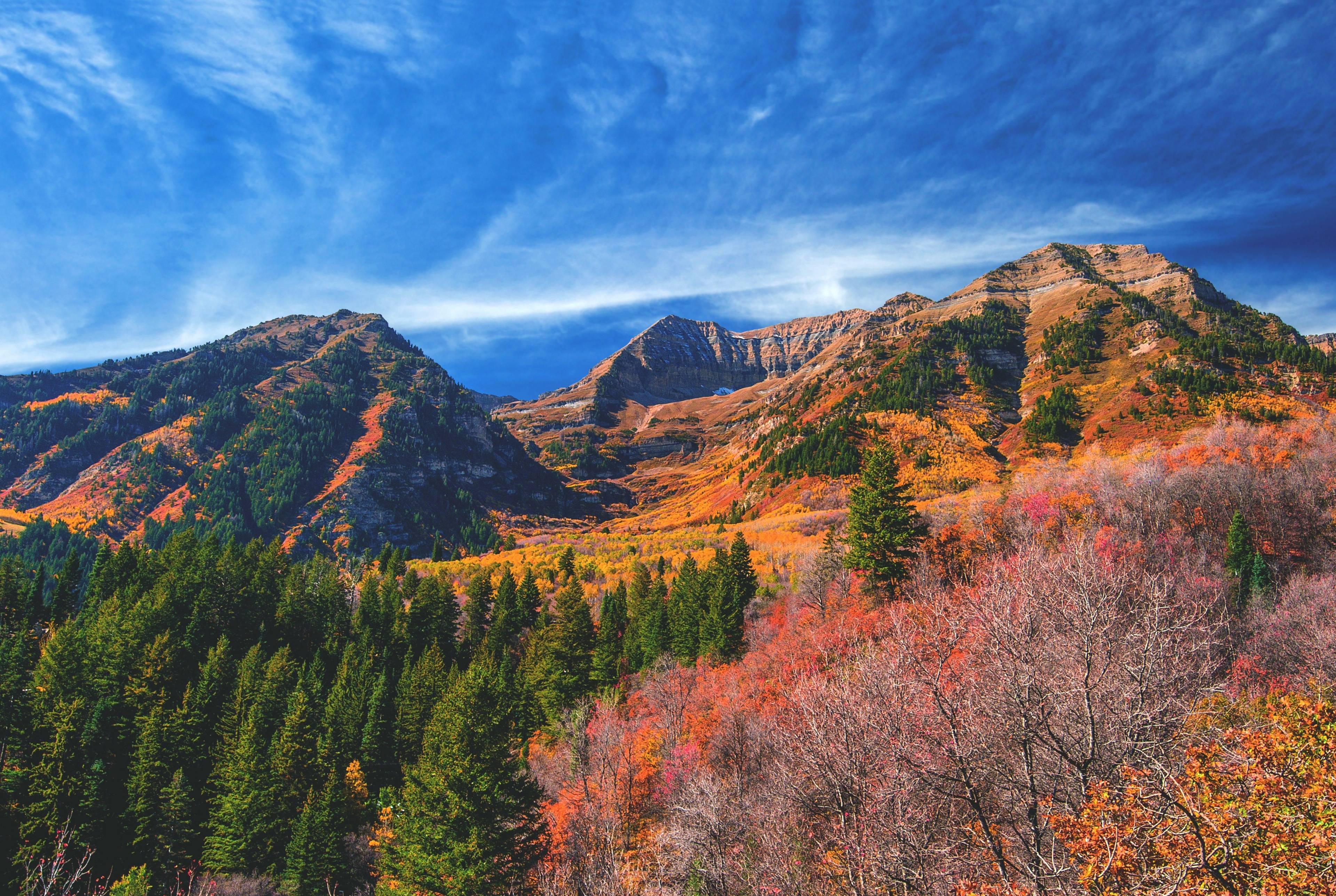 Utah Valley Beach Walk, Alpine Drive, and Waterfalls via Salt Lake City