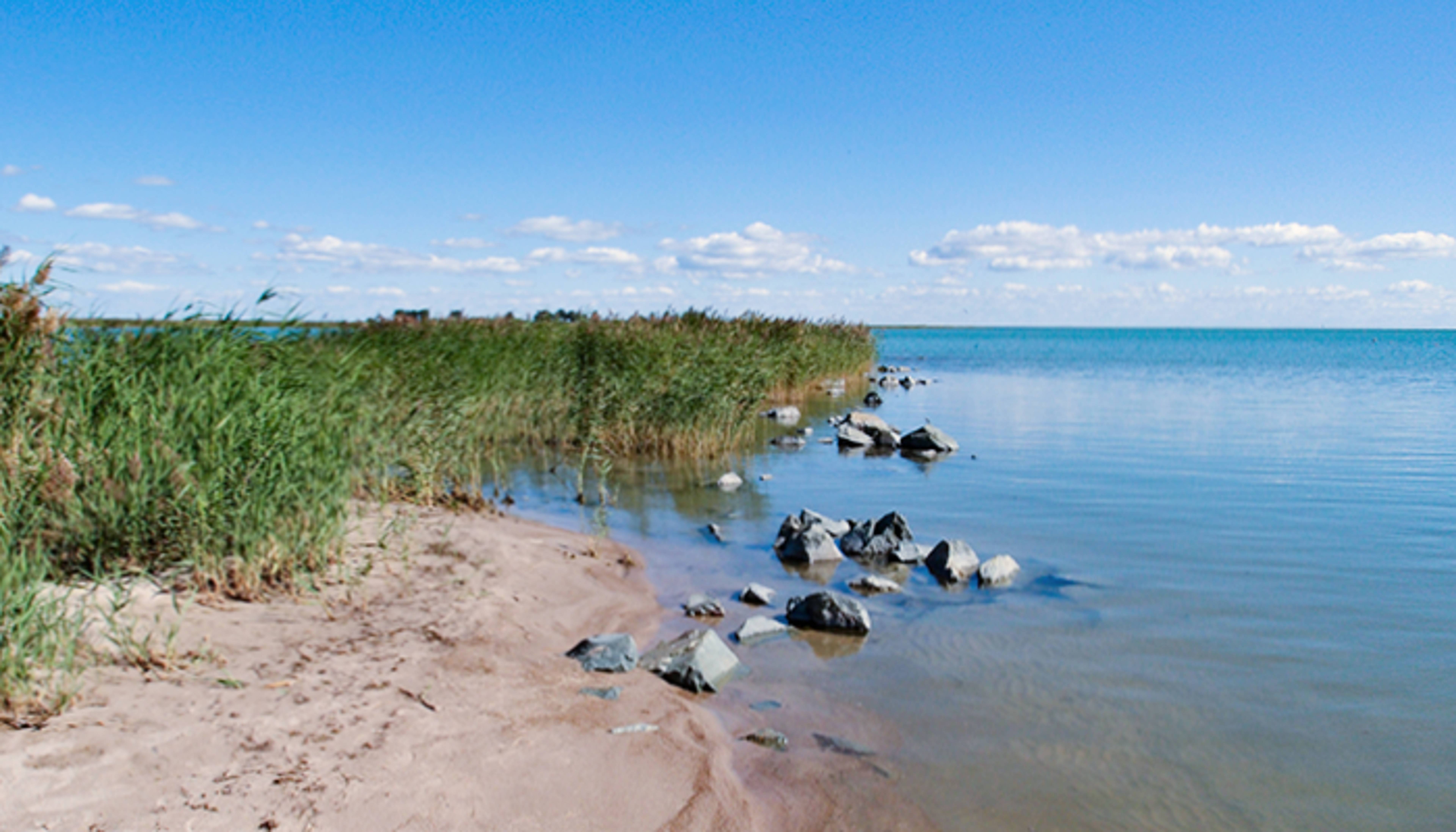 Chany Lake