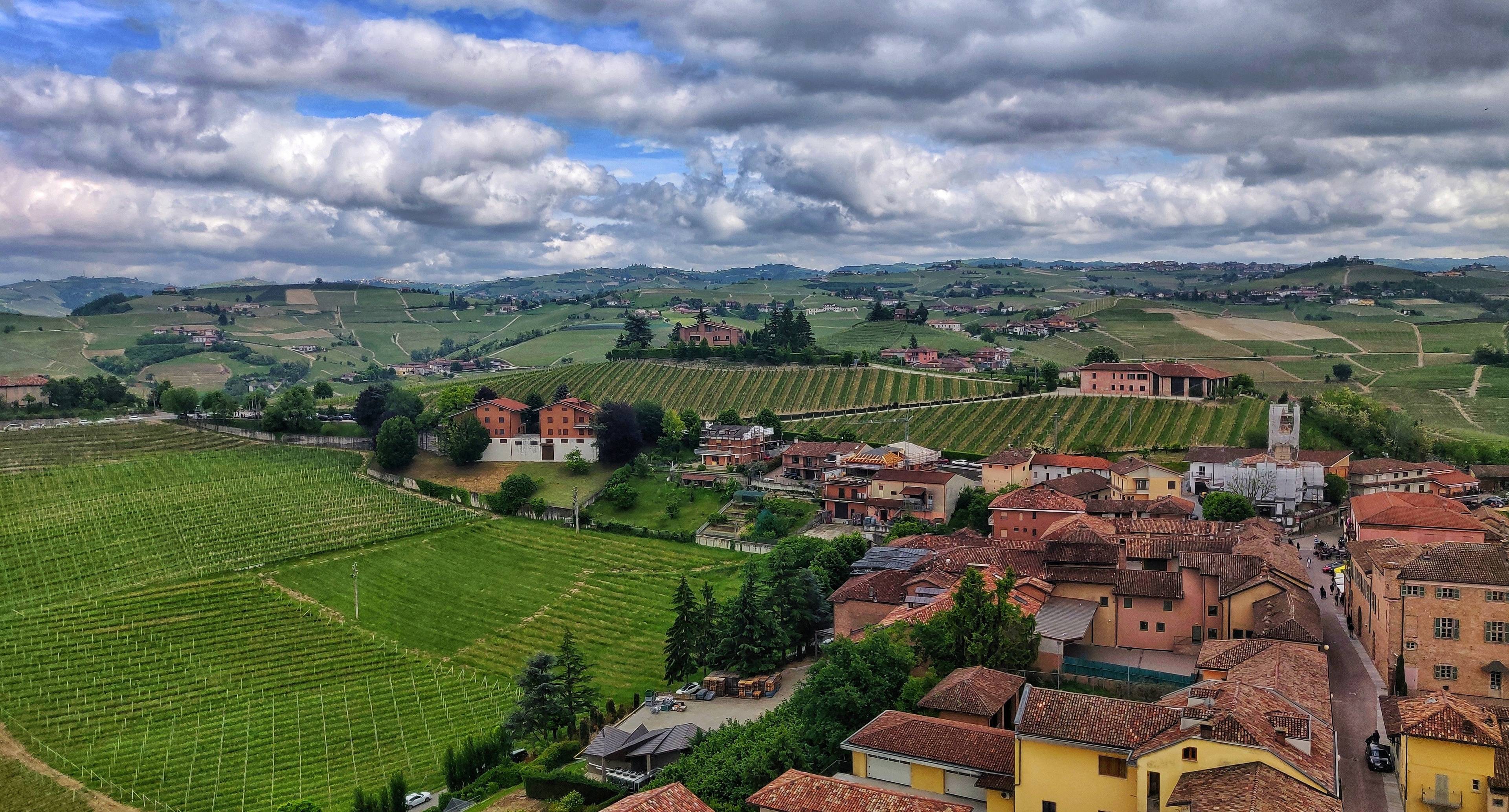 Grapes That Become Wine In A UNESCO Heritage Land