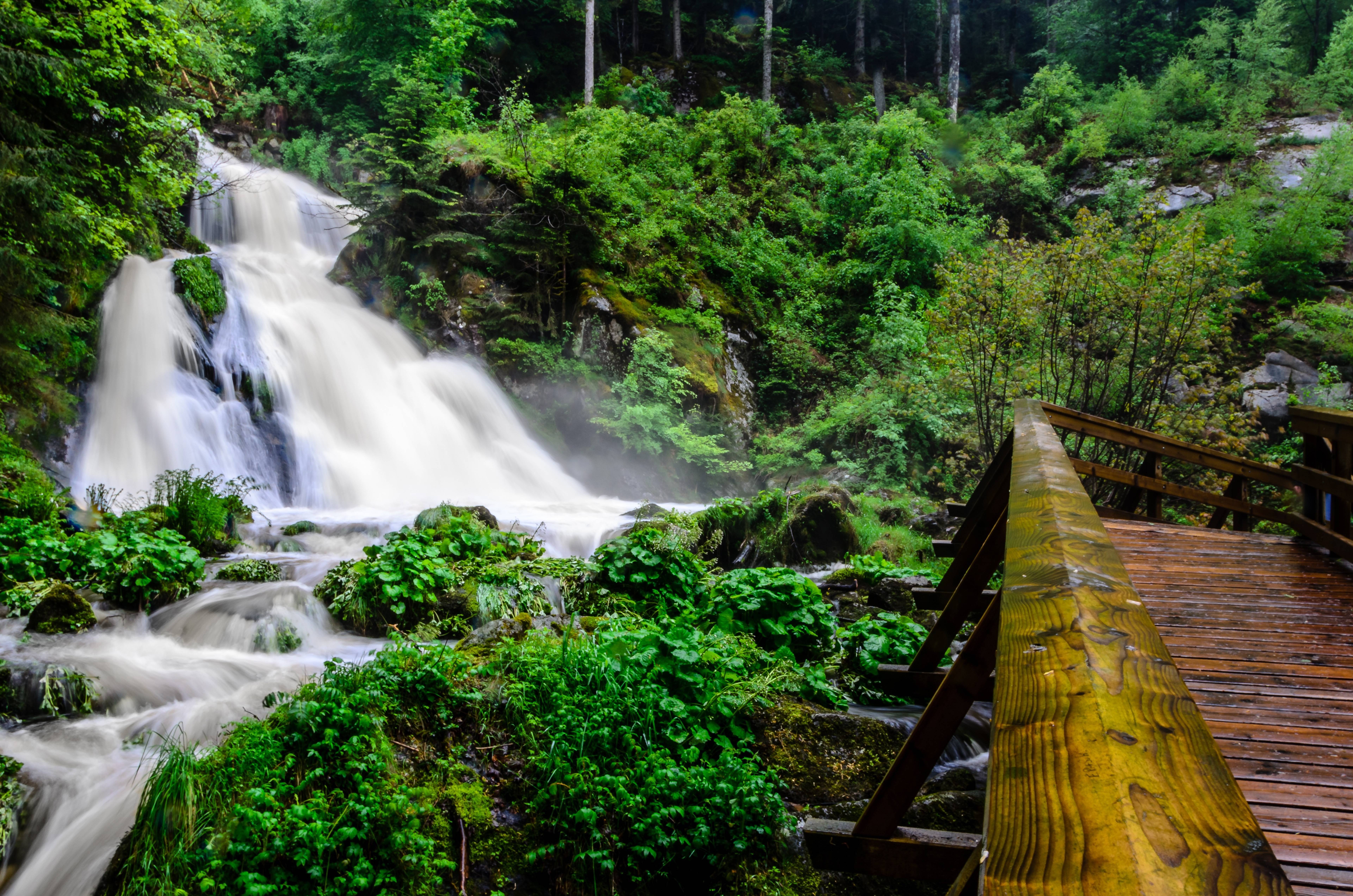 Triberg Waterfalls