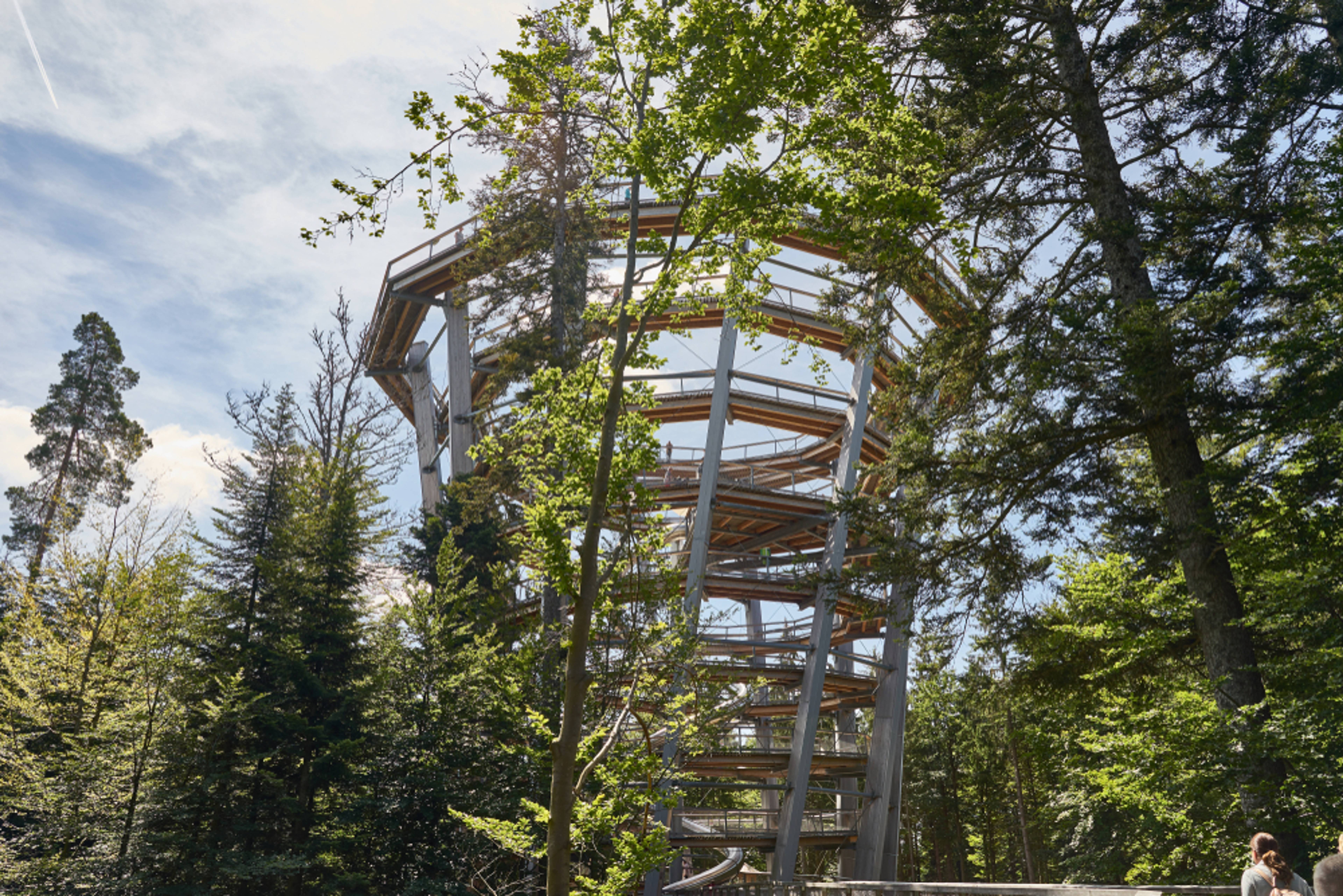 Treetop Walk Black Forest