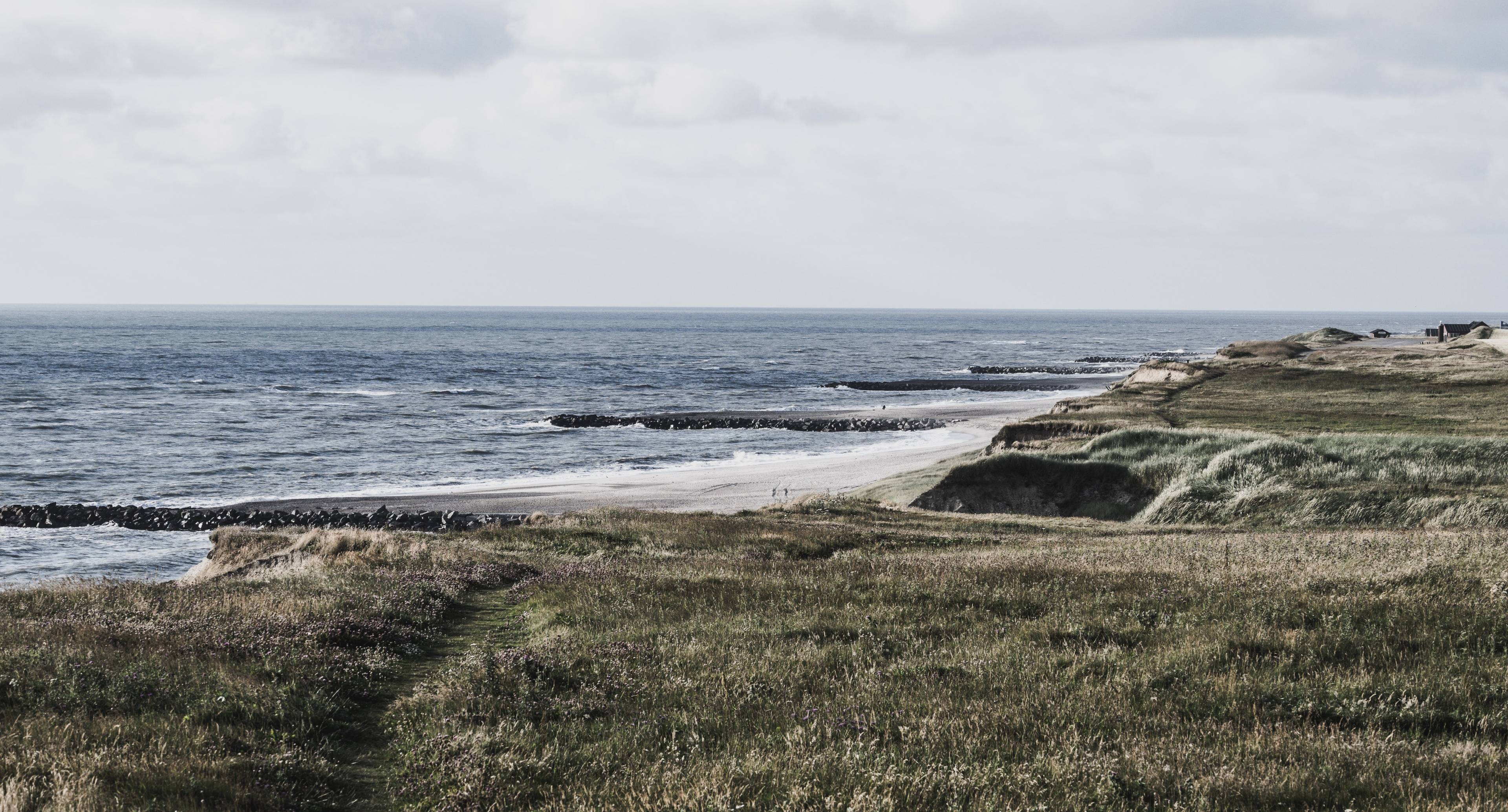 Rugged Sand Dunes, Lego and more!