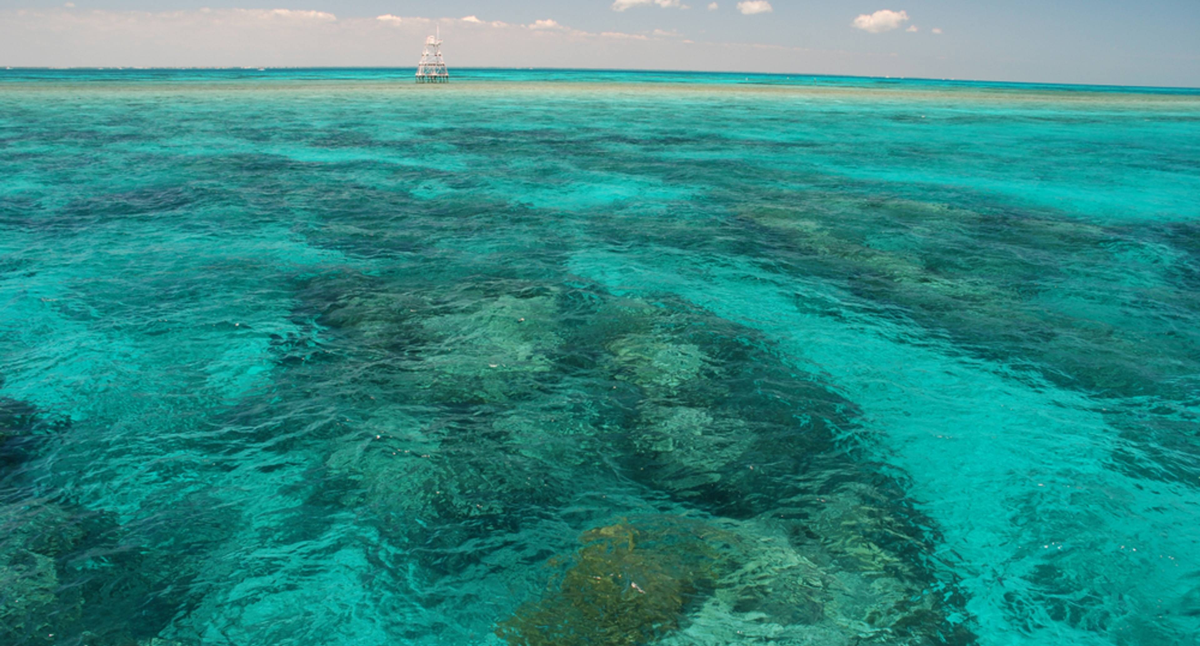 Snorkel and Sun In Key Largo