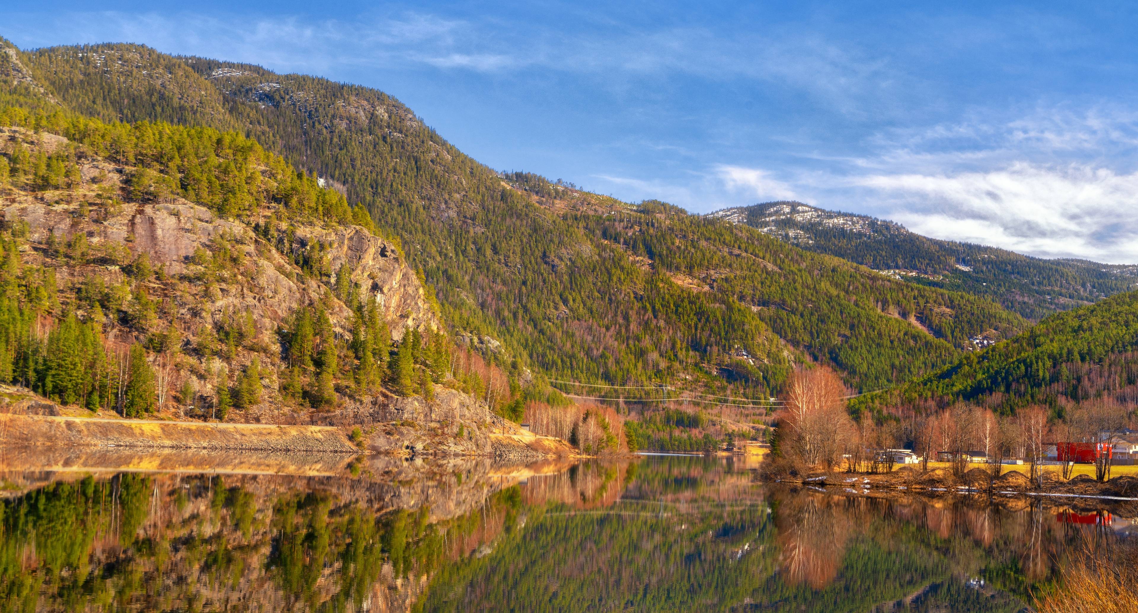 Wildlife Encounters in Eastern Norway