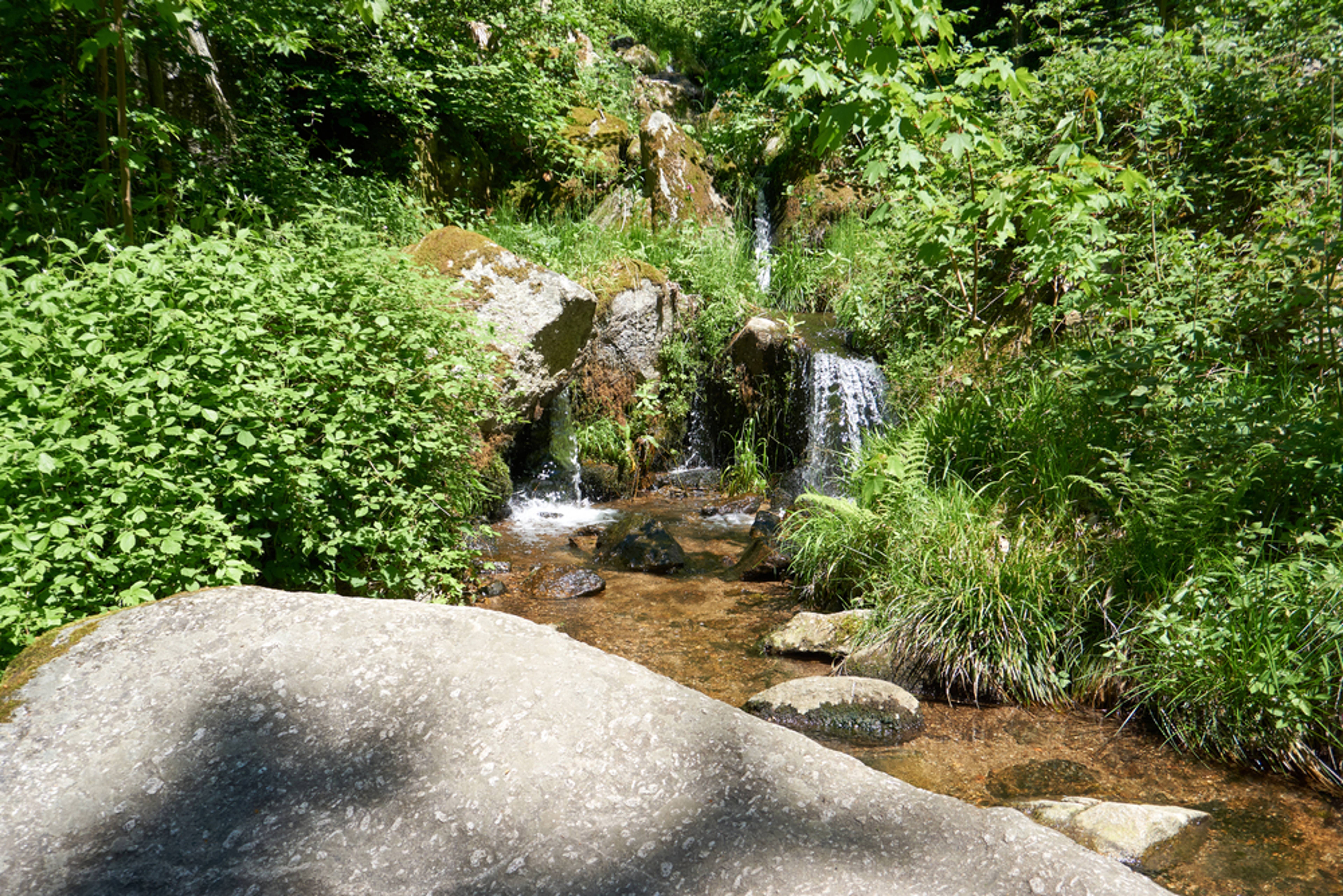 Start AugenBlick round - round hike Sasbachwalden