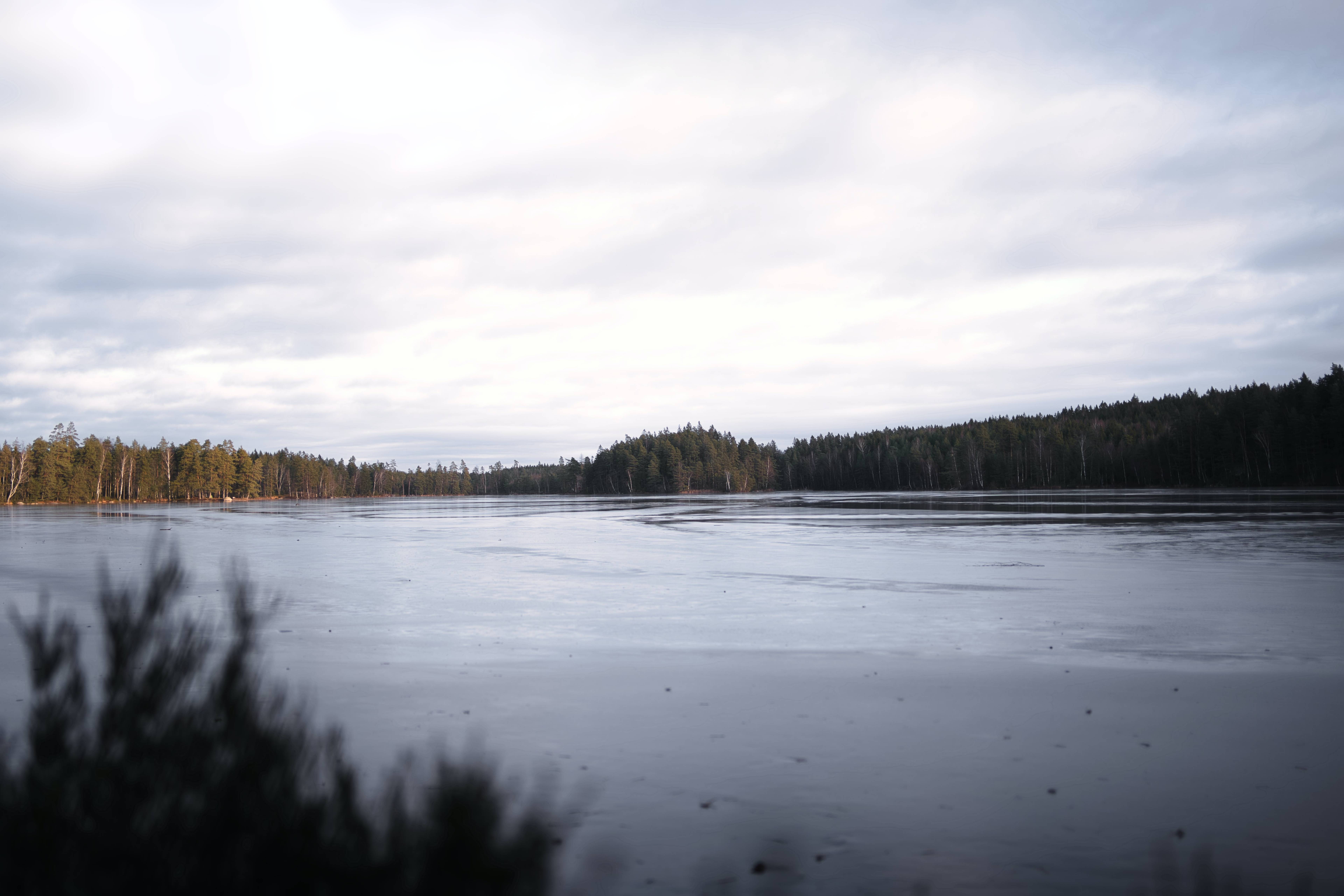 Lago degli Aironi